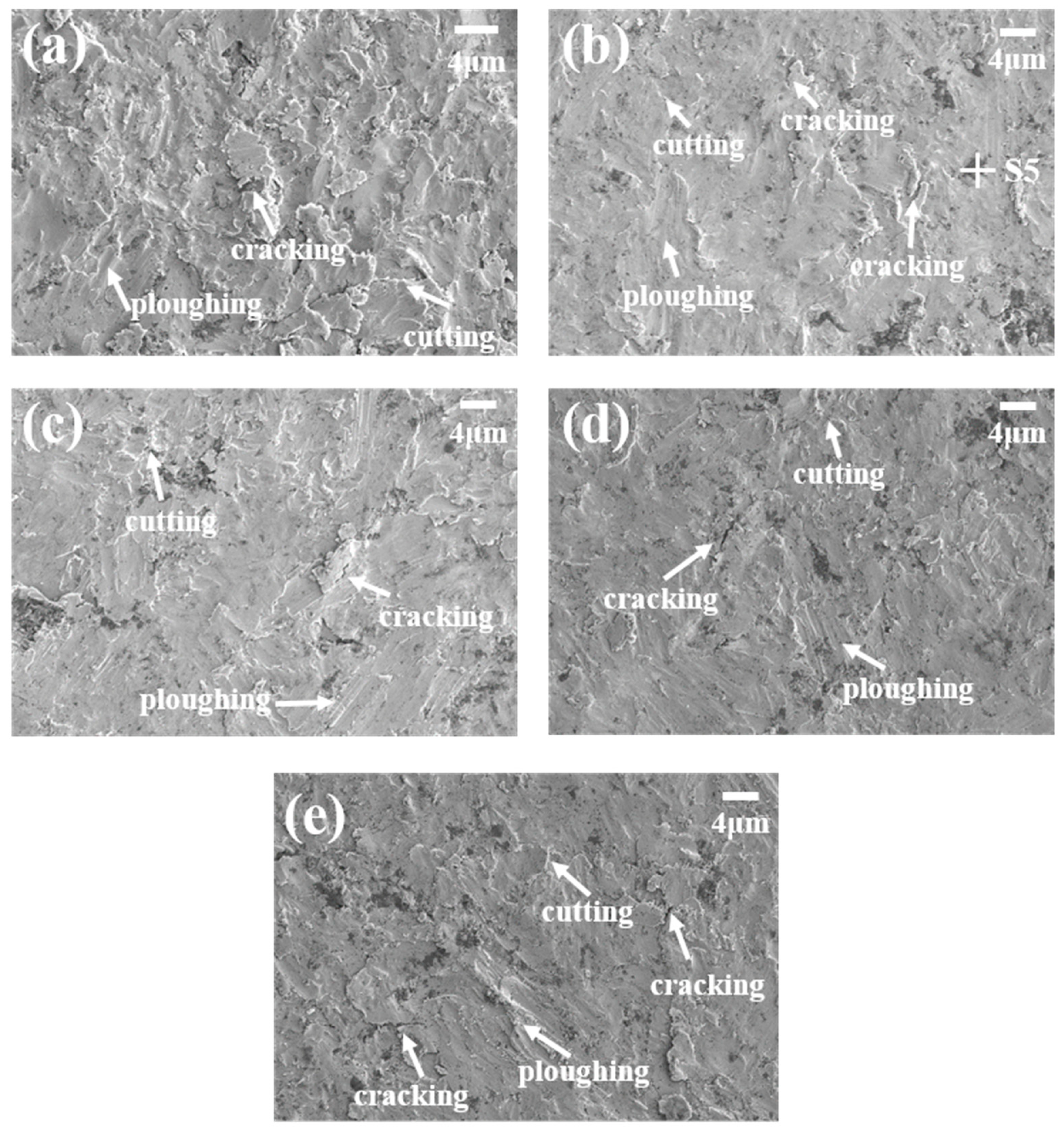 Coatings 13 00834 g011