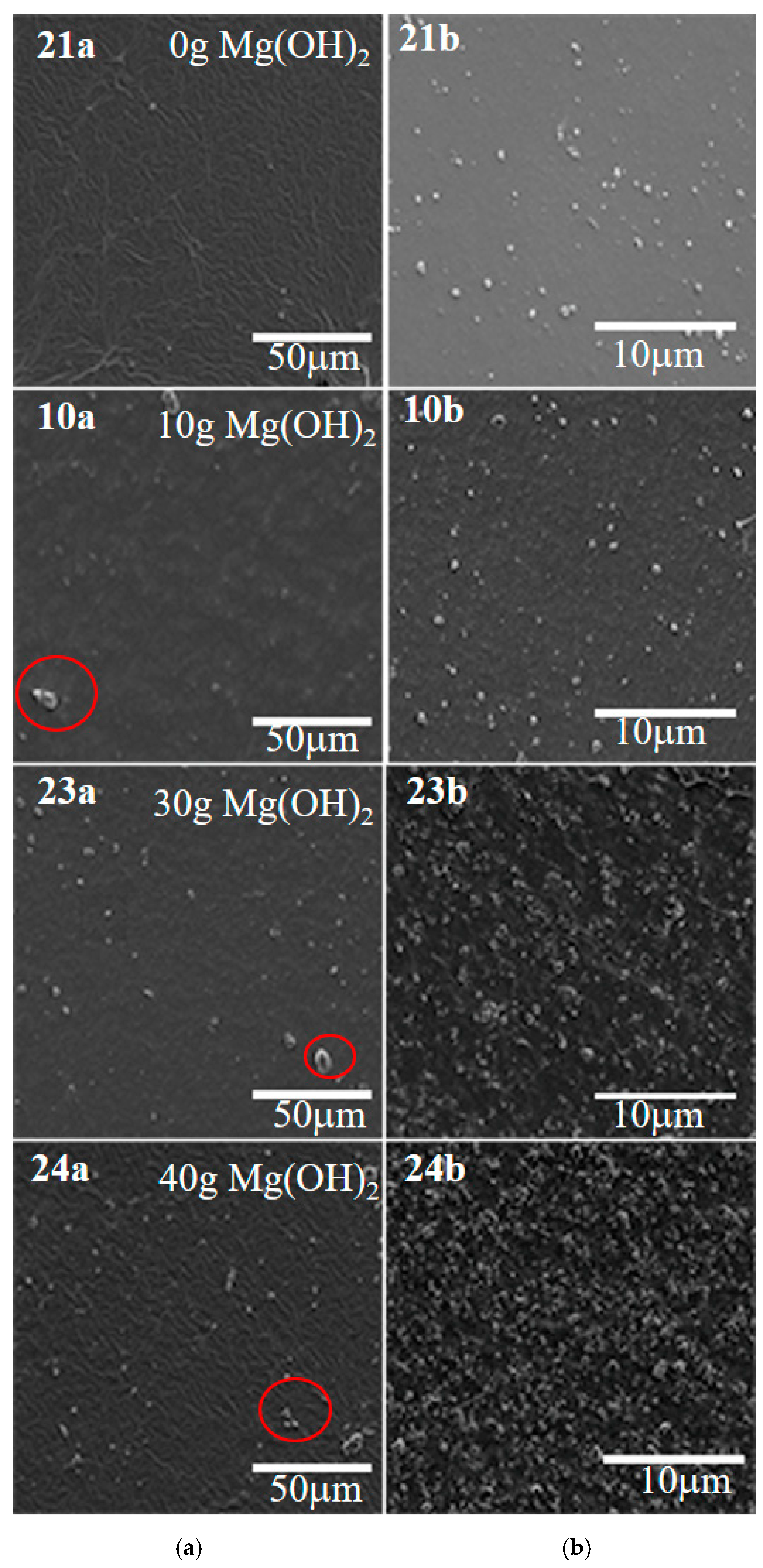 Coatings 13 00837 g006