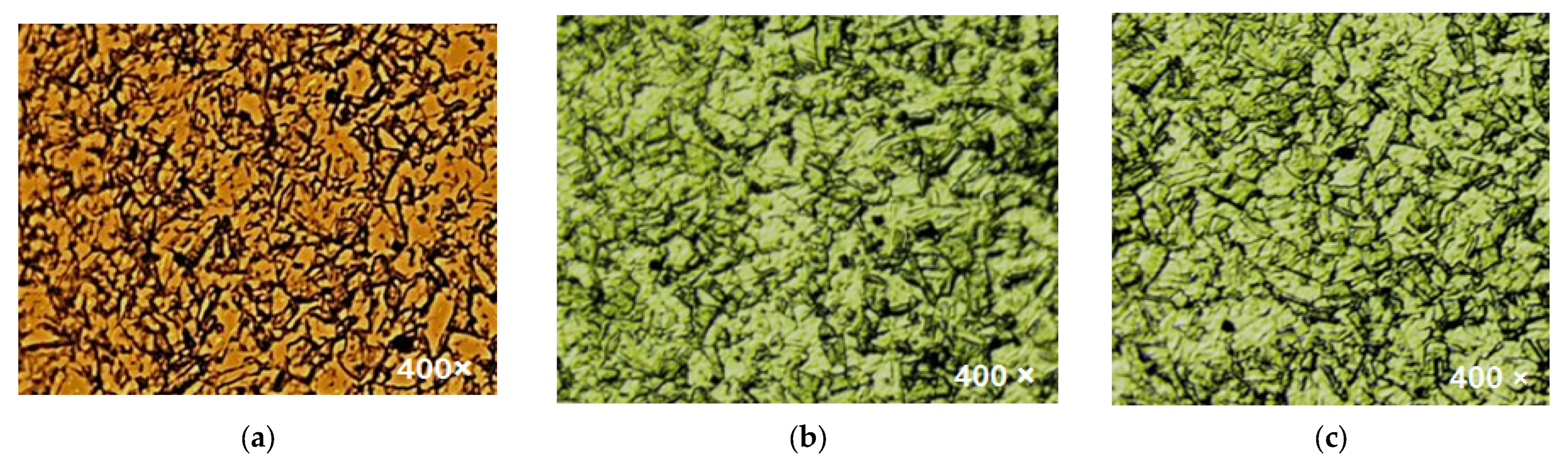 Coatings 13 00839 g004