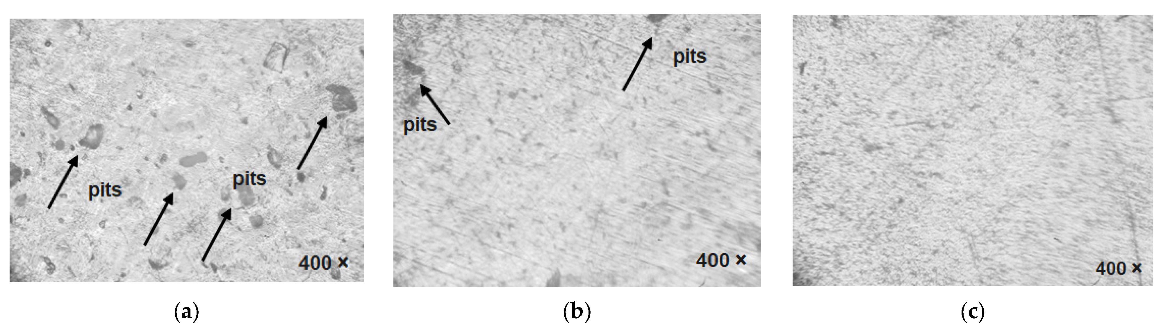 Coatings 13 00839 g007