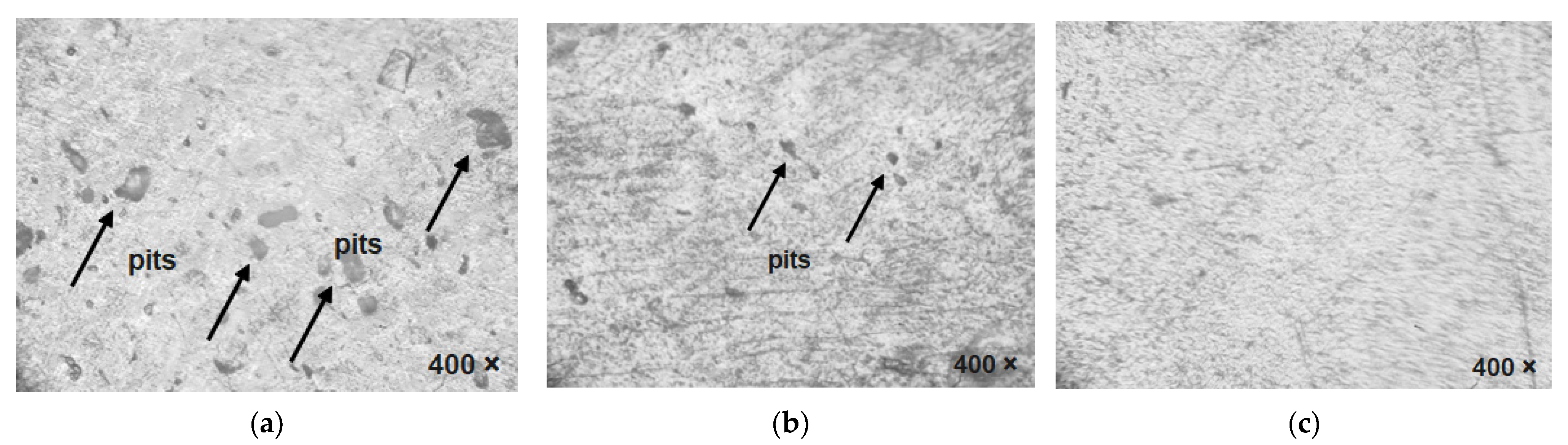 Coatings 13 00839 g008