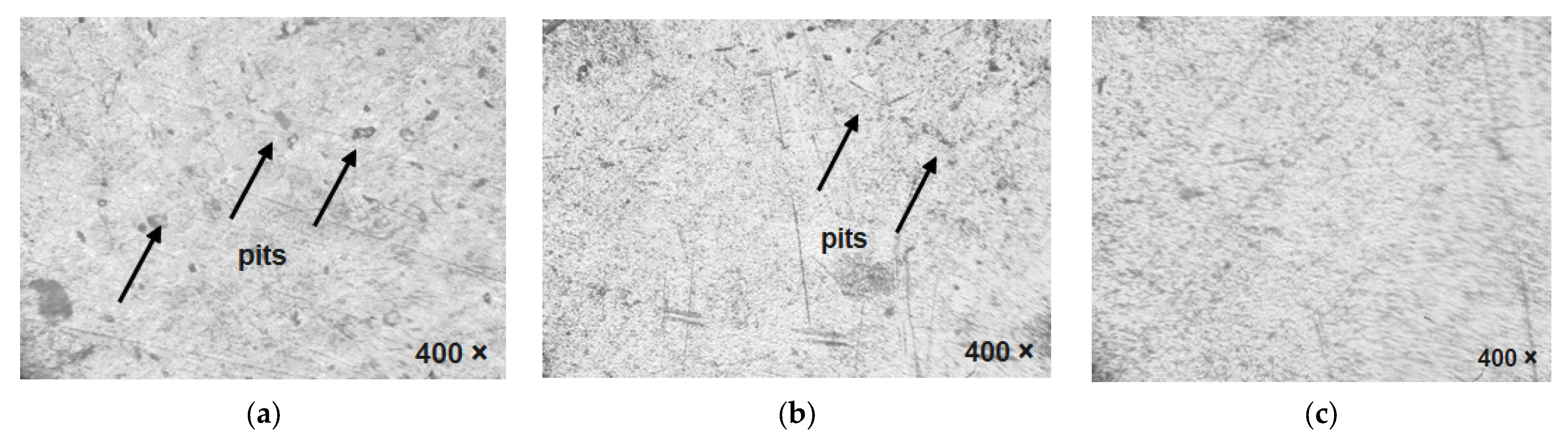 Coatings 13 00839 g009