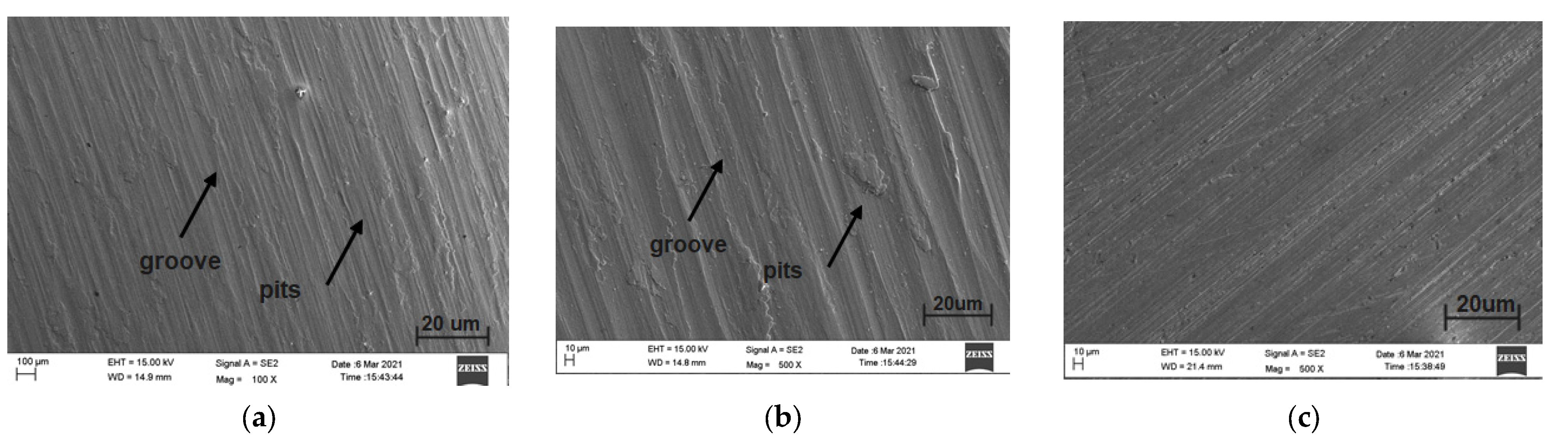 Coatings 13 00839 g010