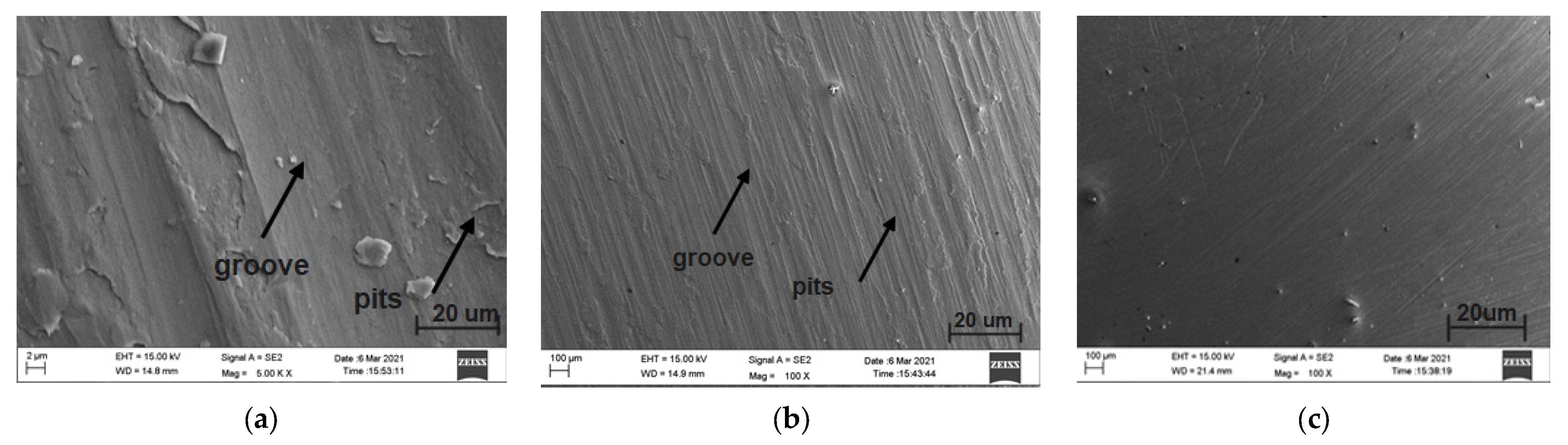 Coatings 13 00839 g012