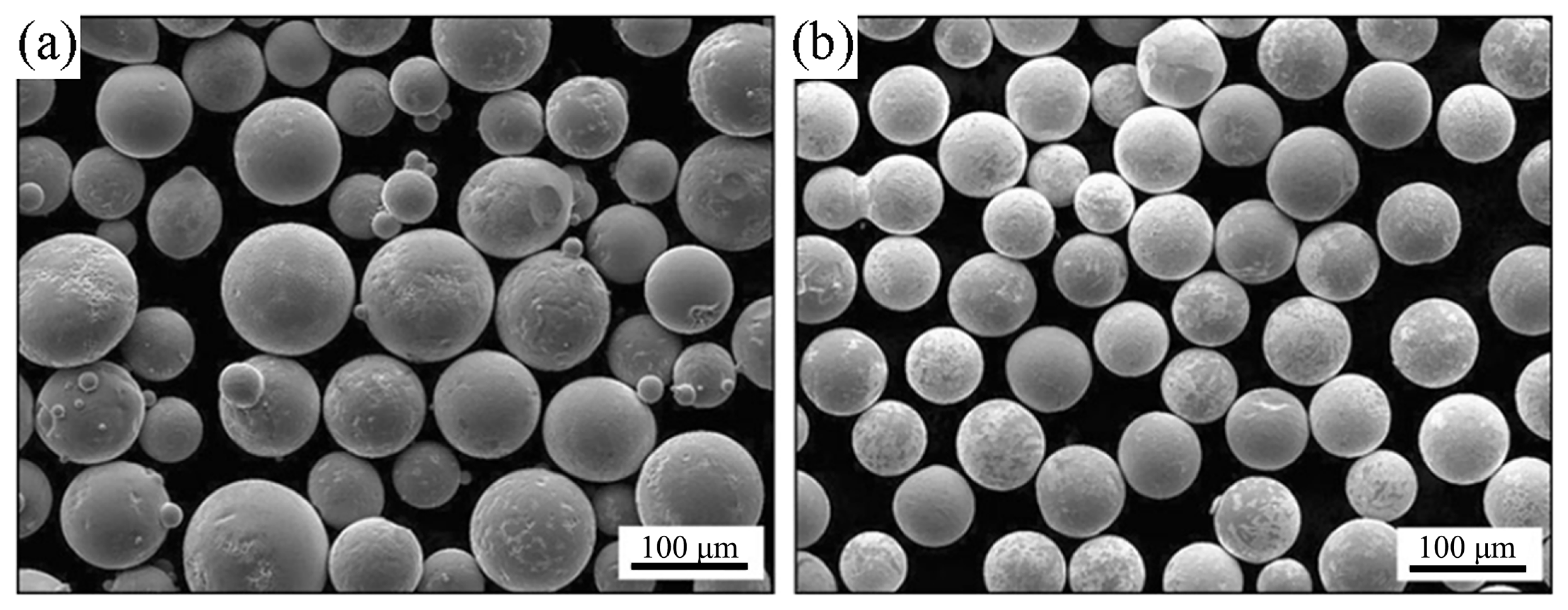 Coatings 13 00840 g001