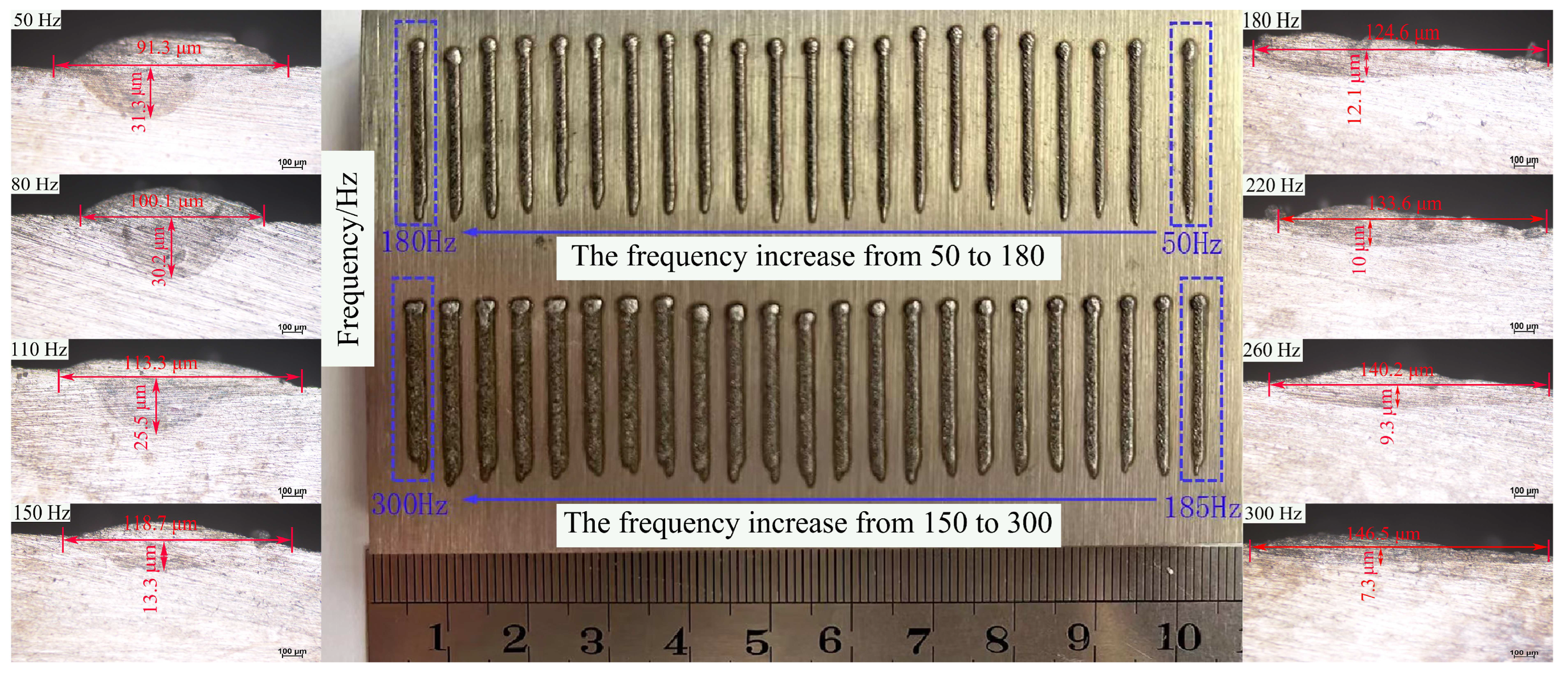 Coatings 13 00840 g003