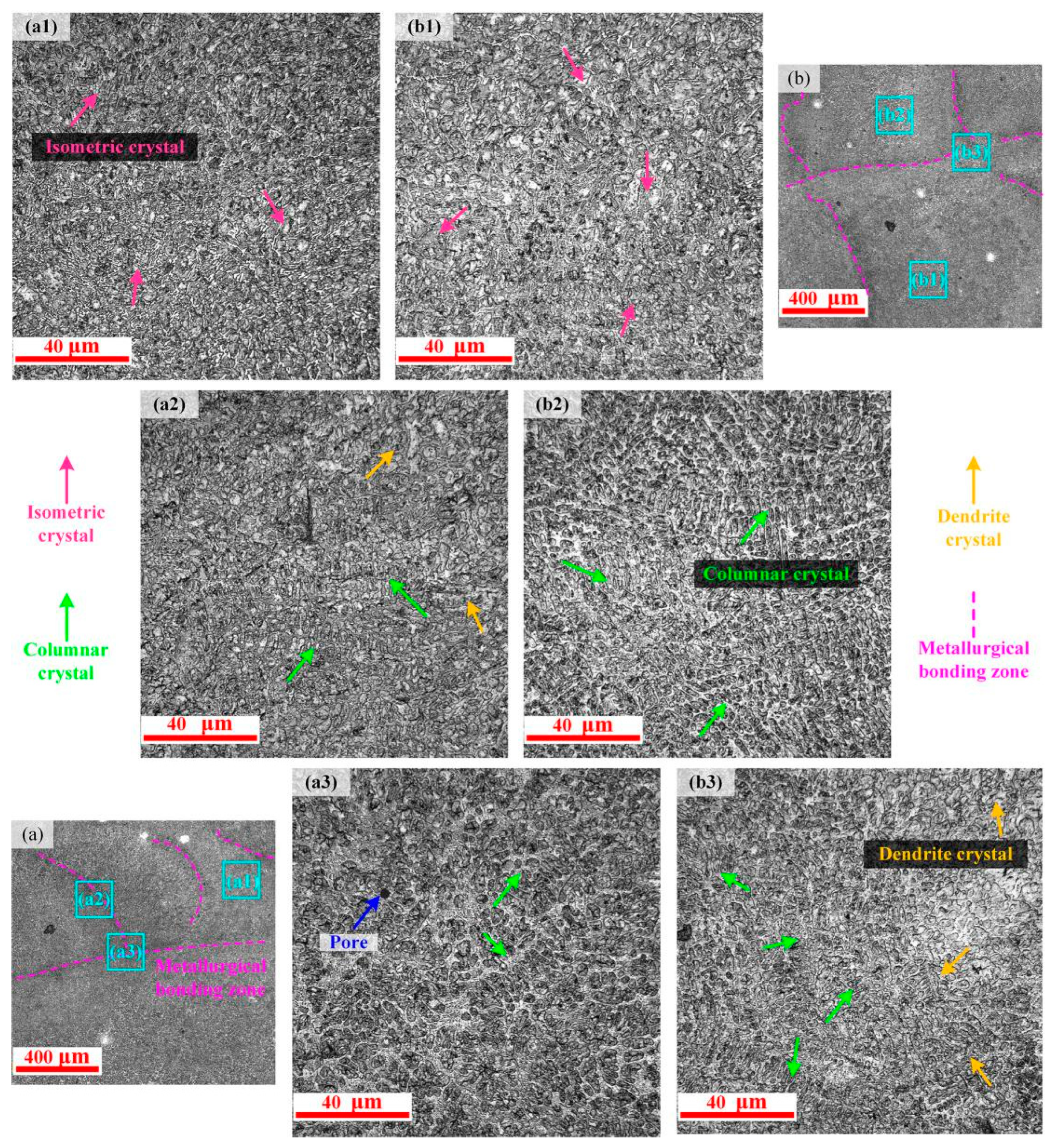 Coatings 13 00842 g005