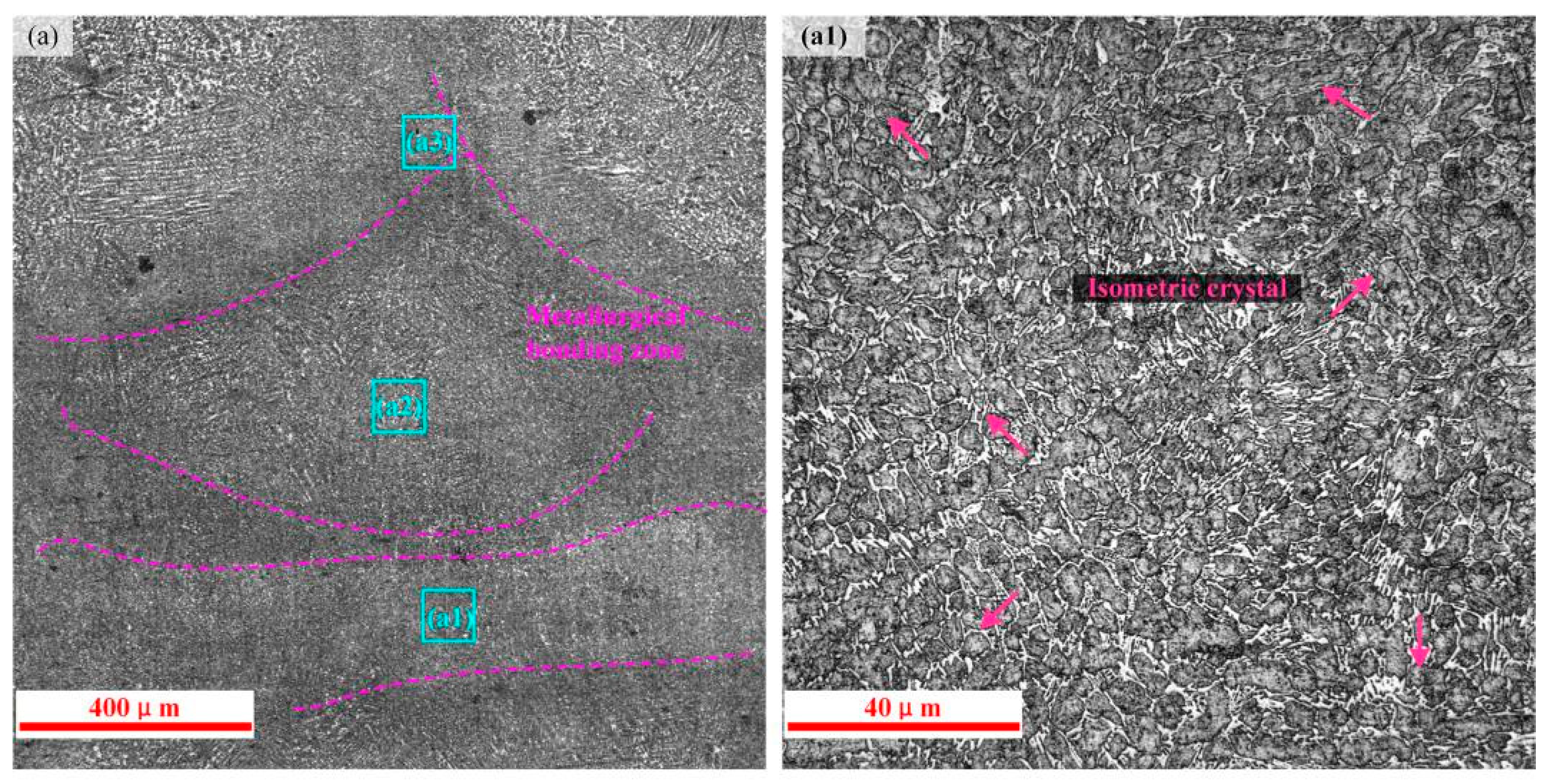 Coatings 13 00842 g006a