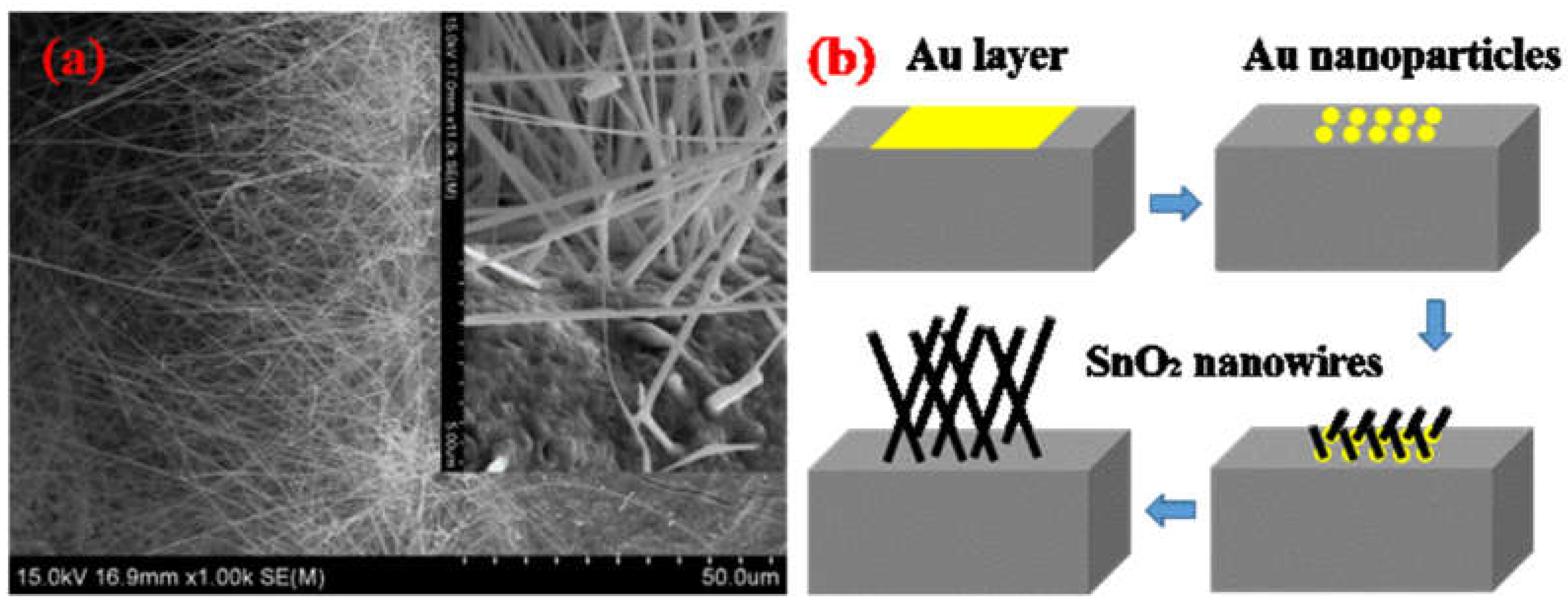 Coatings 13 00849 g003
