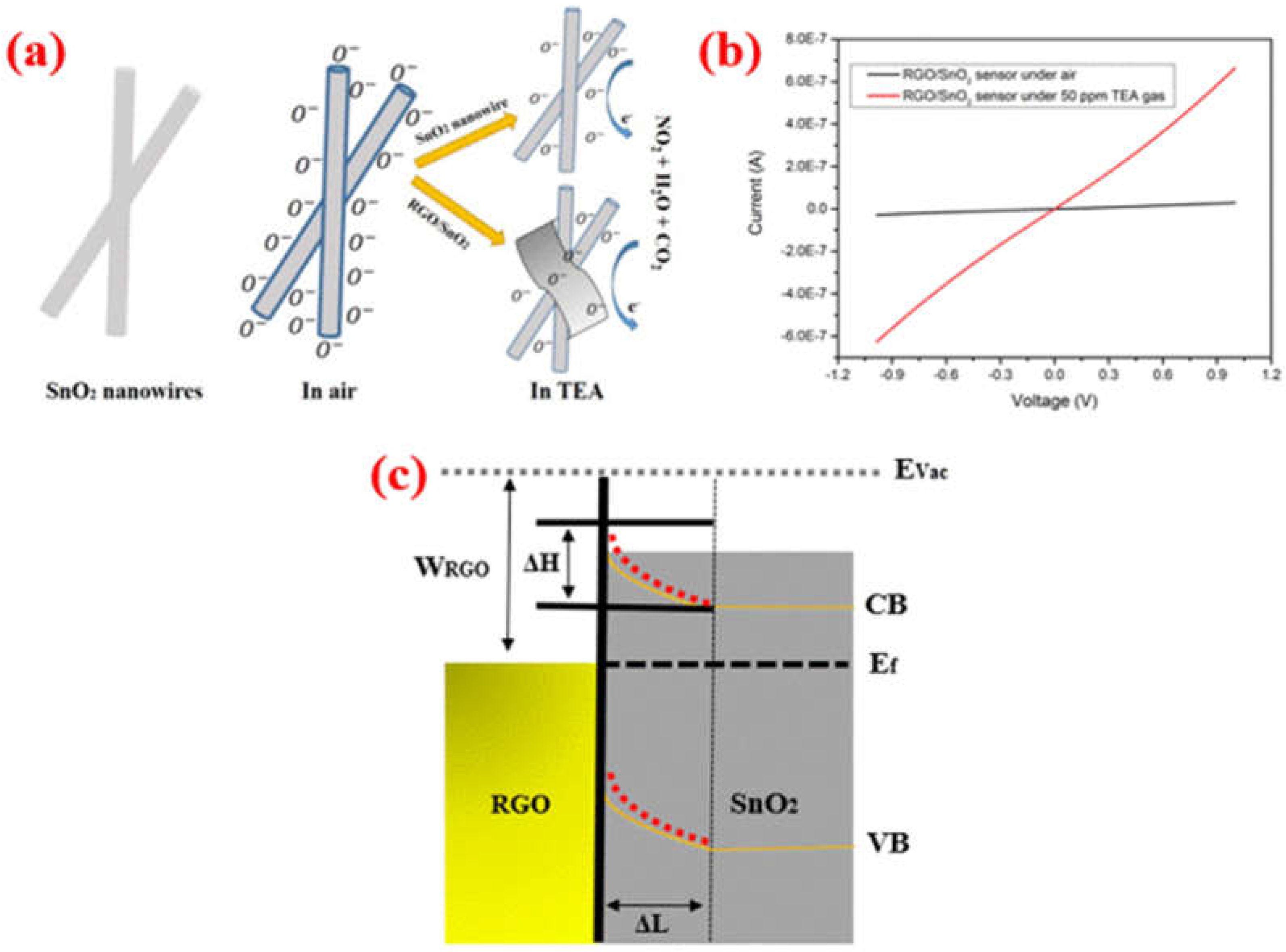 Coatings 13 00849 g007