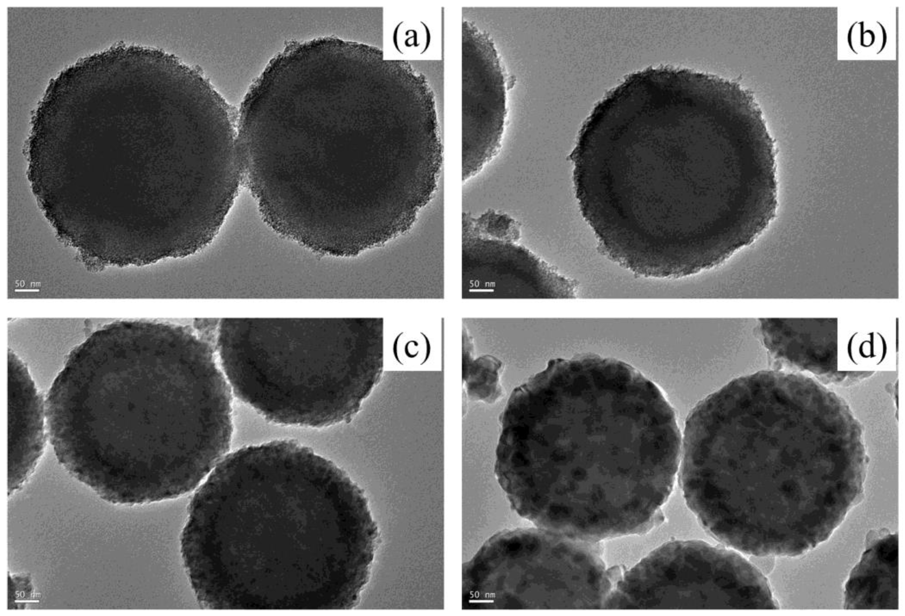 Coatings 13 00852 g001