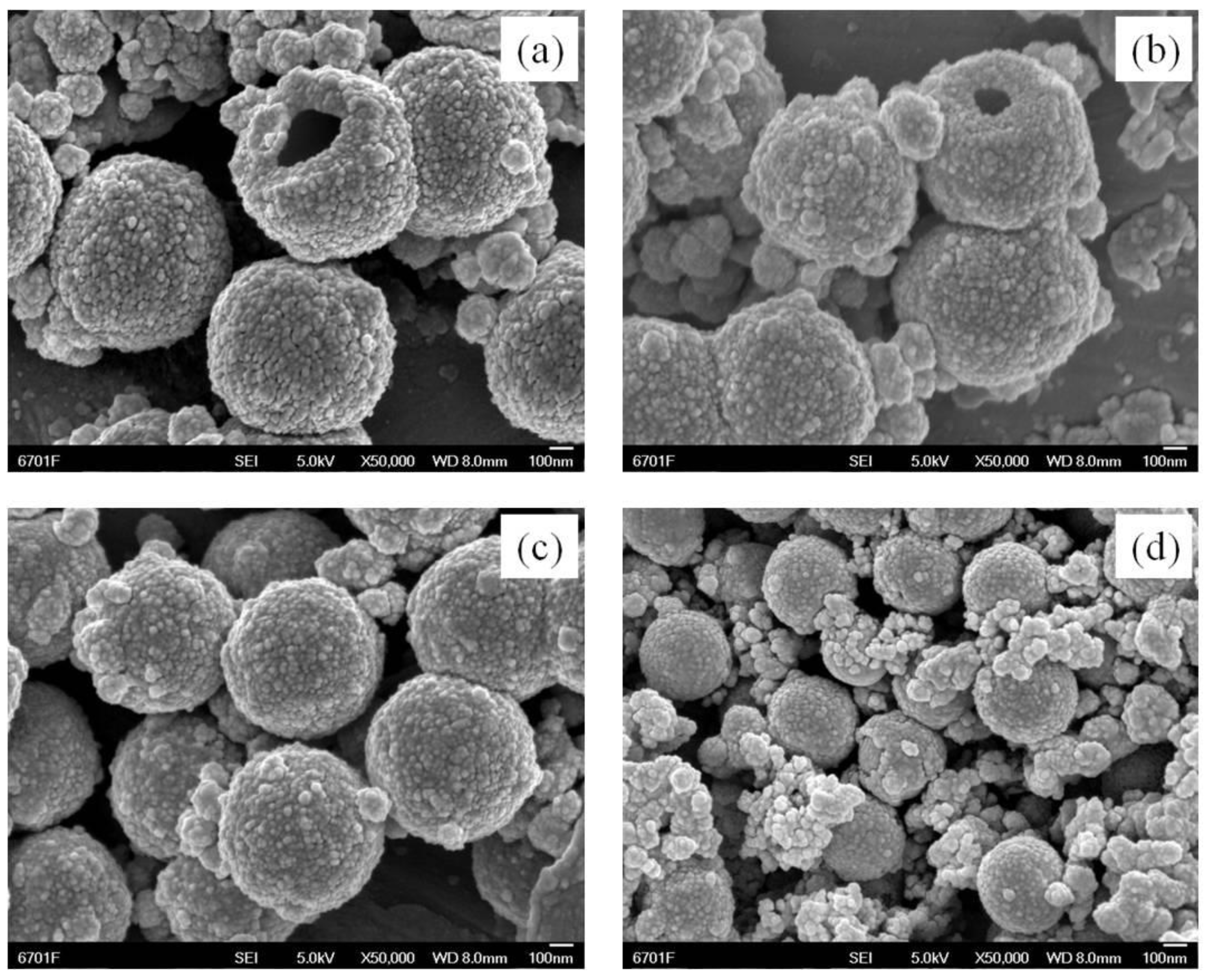 Coatings 13 00852 g003