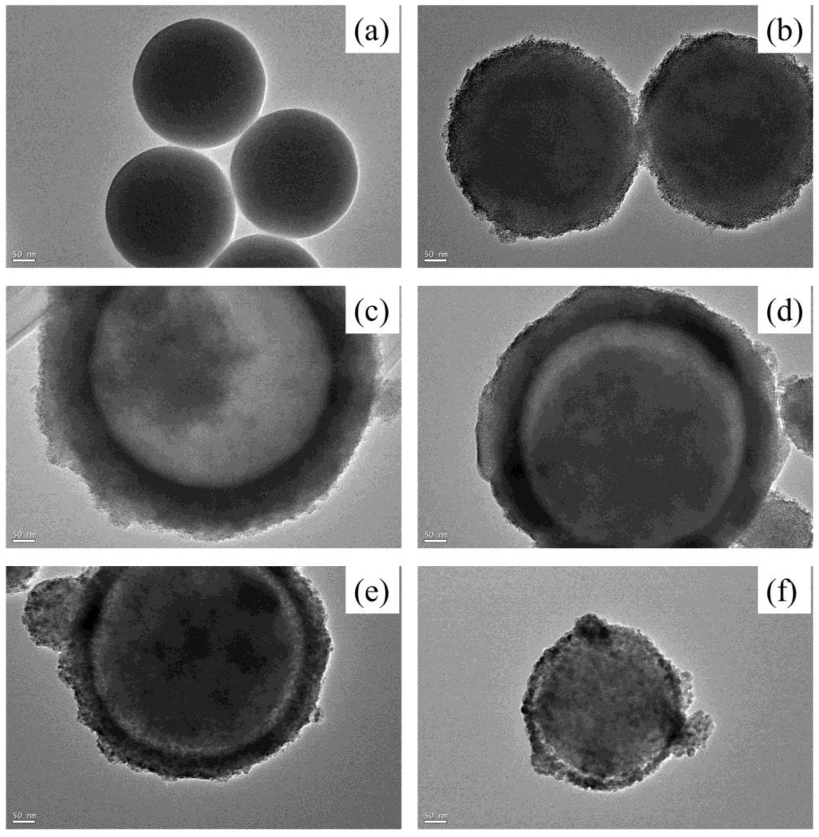 Coatings 13 00852 g004