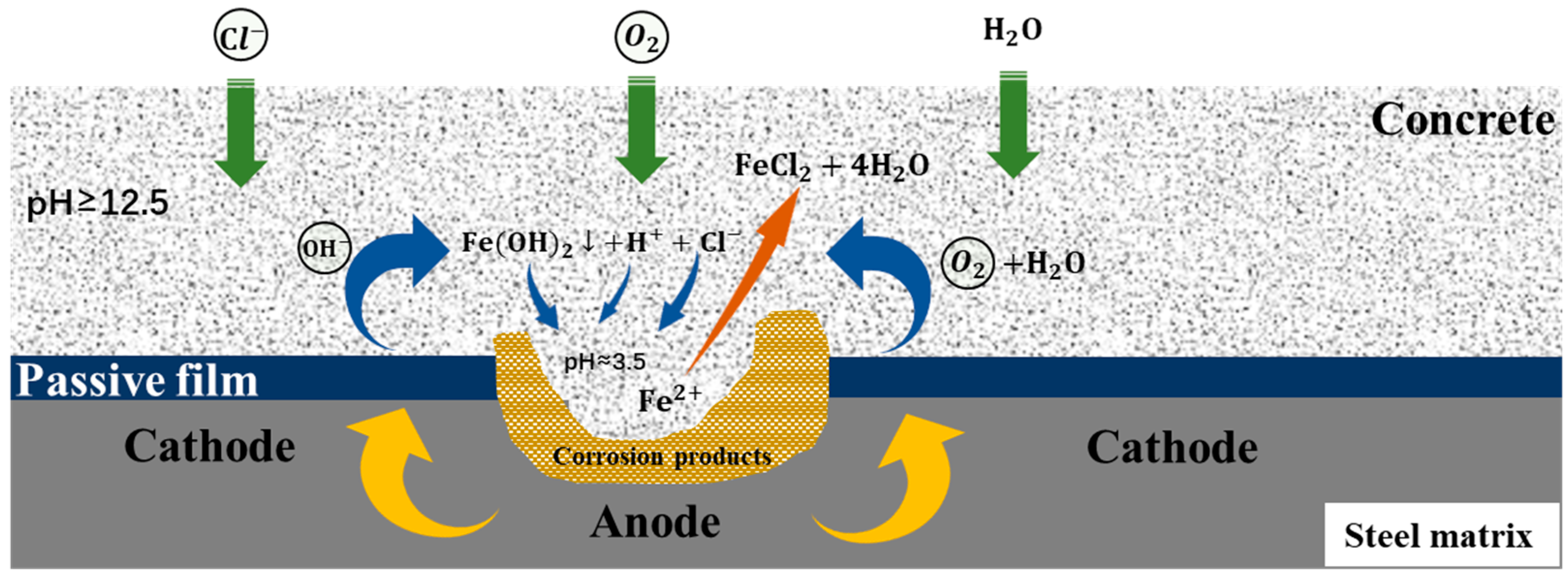 Coatings 13 00853 g002