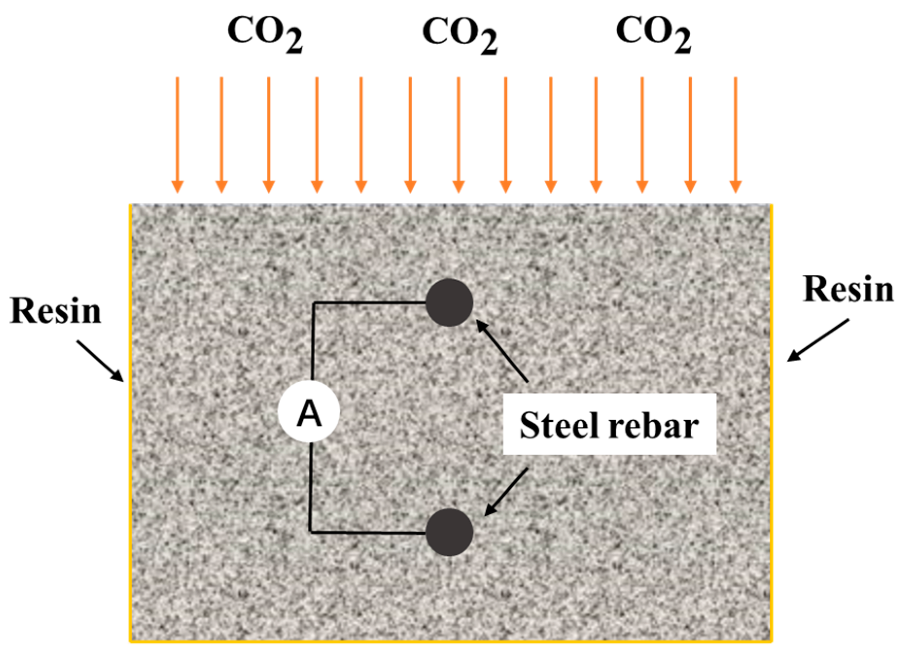 Coatings 13 00853 g010