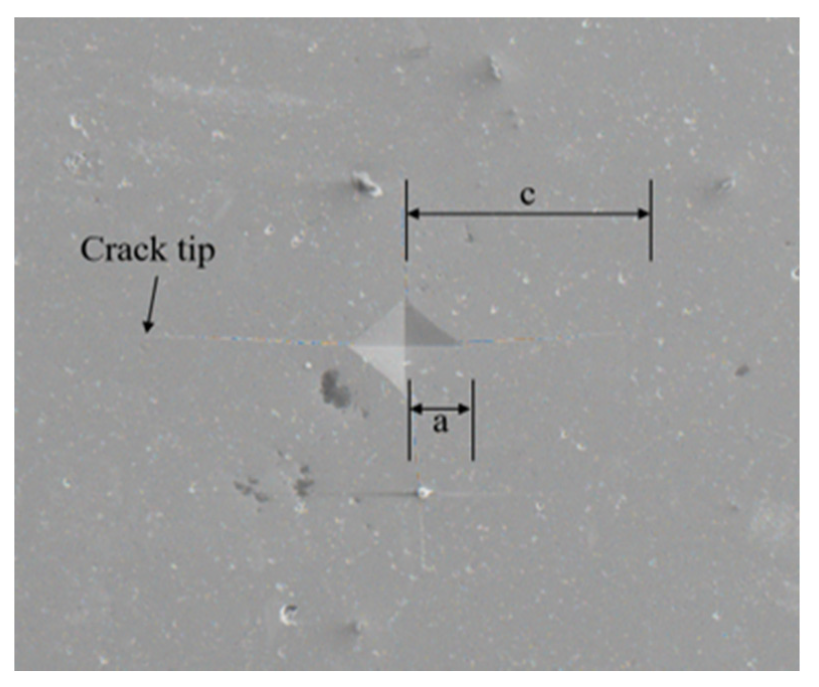 Coatings 13 00855 g002