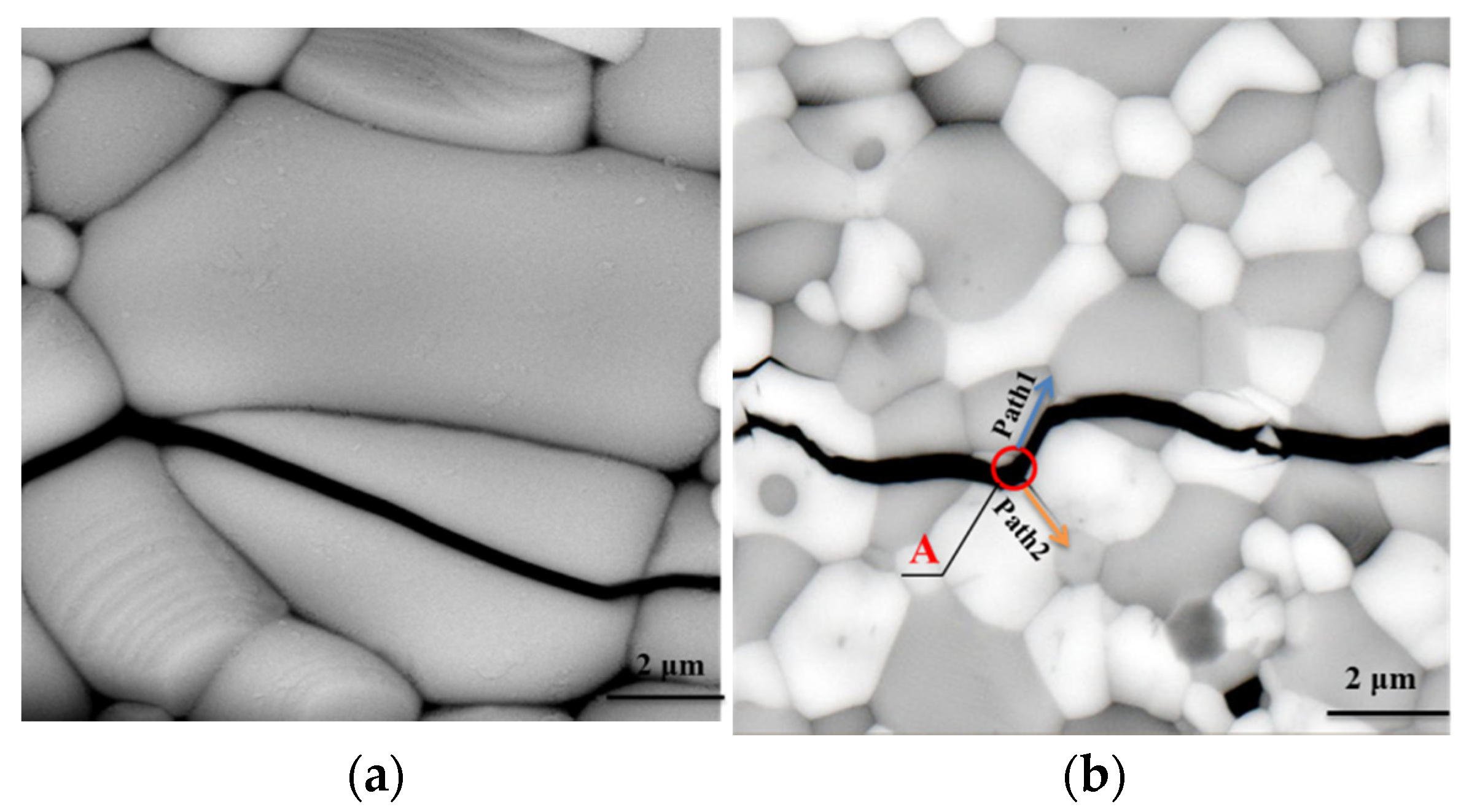 Coatings 13 00855 g009