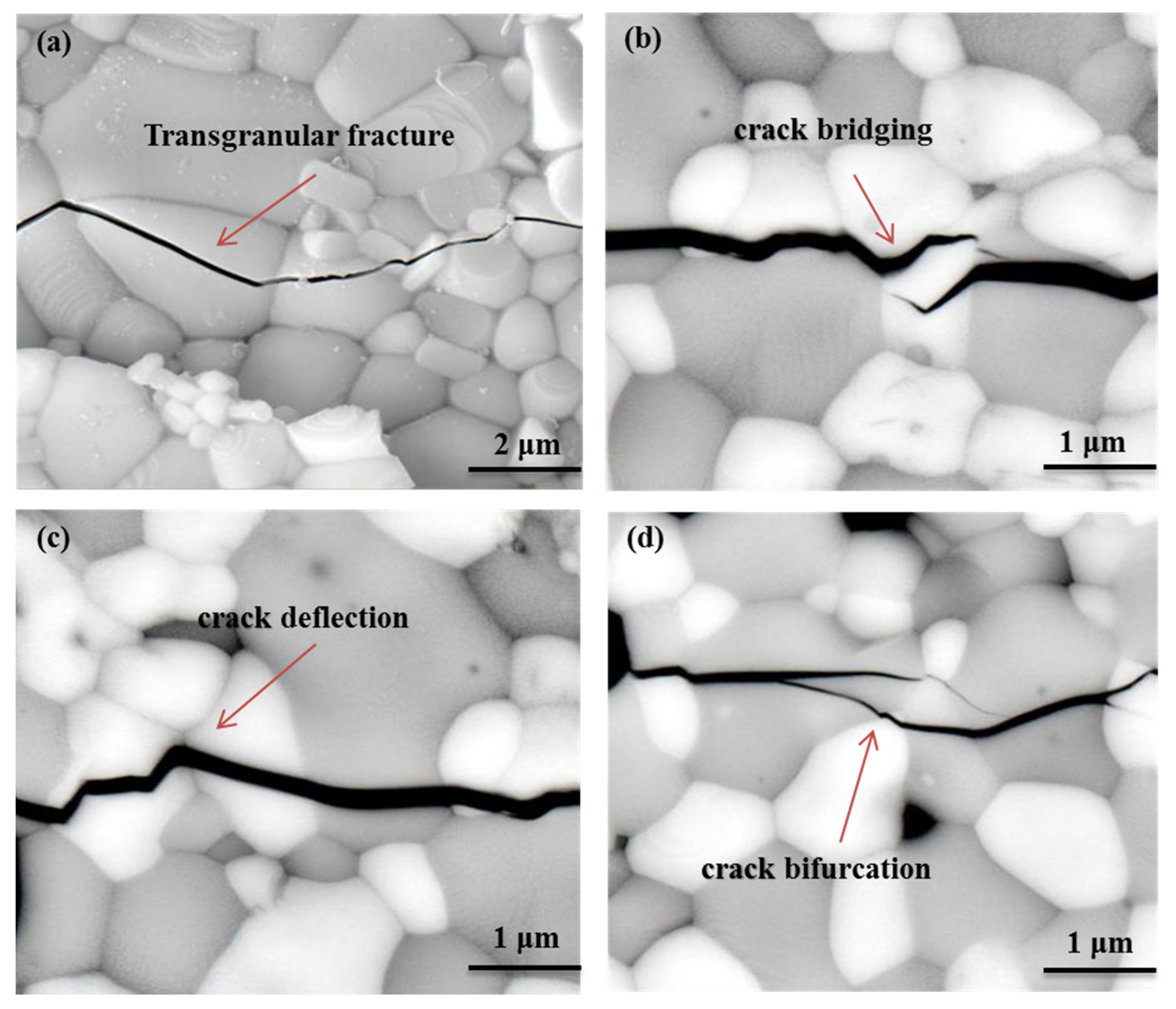 Coatings 13 00855 g011