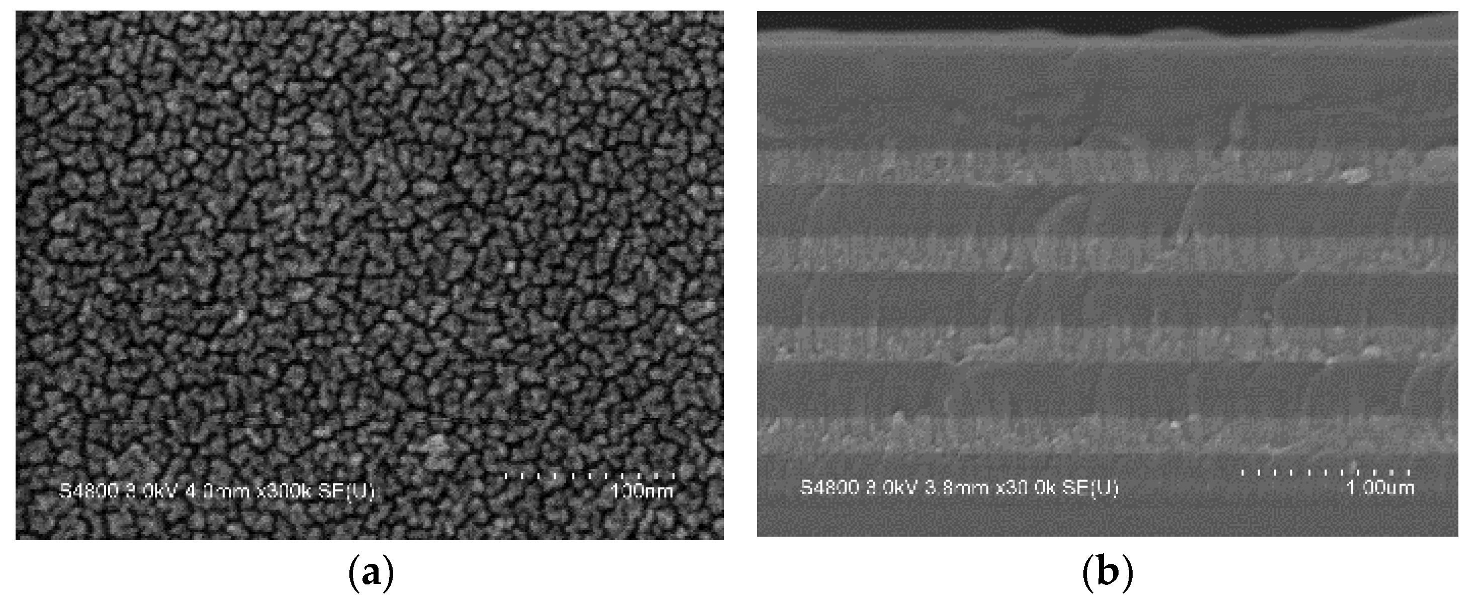 Coatings 13 00857 g011