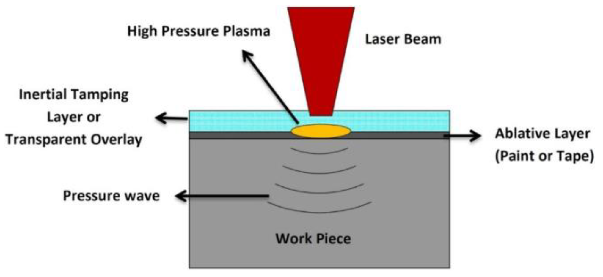 Coatings 13 00859 g002