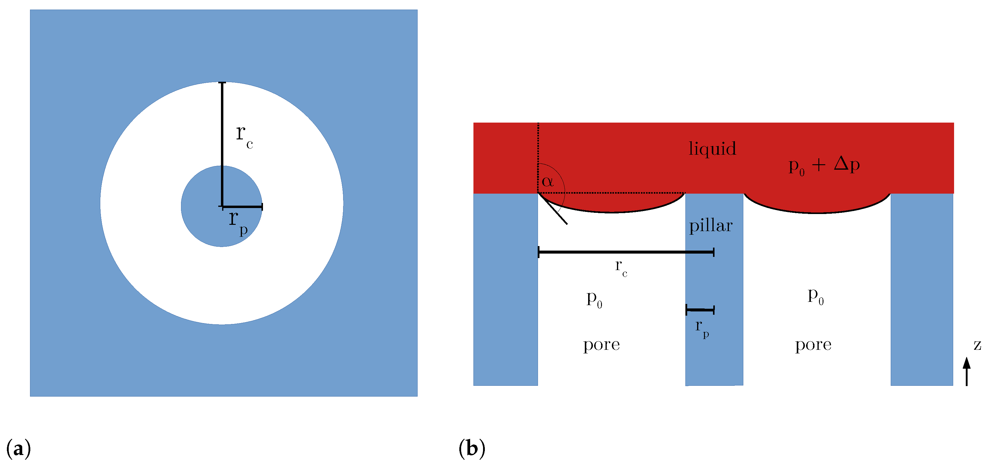 Coatings 13 00865 g003