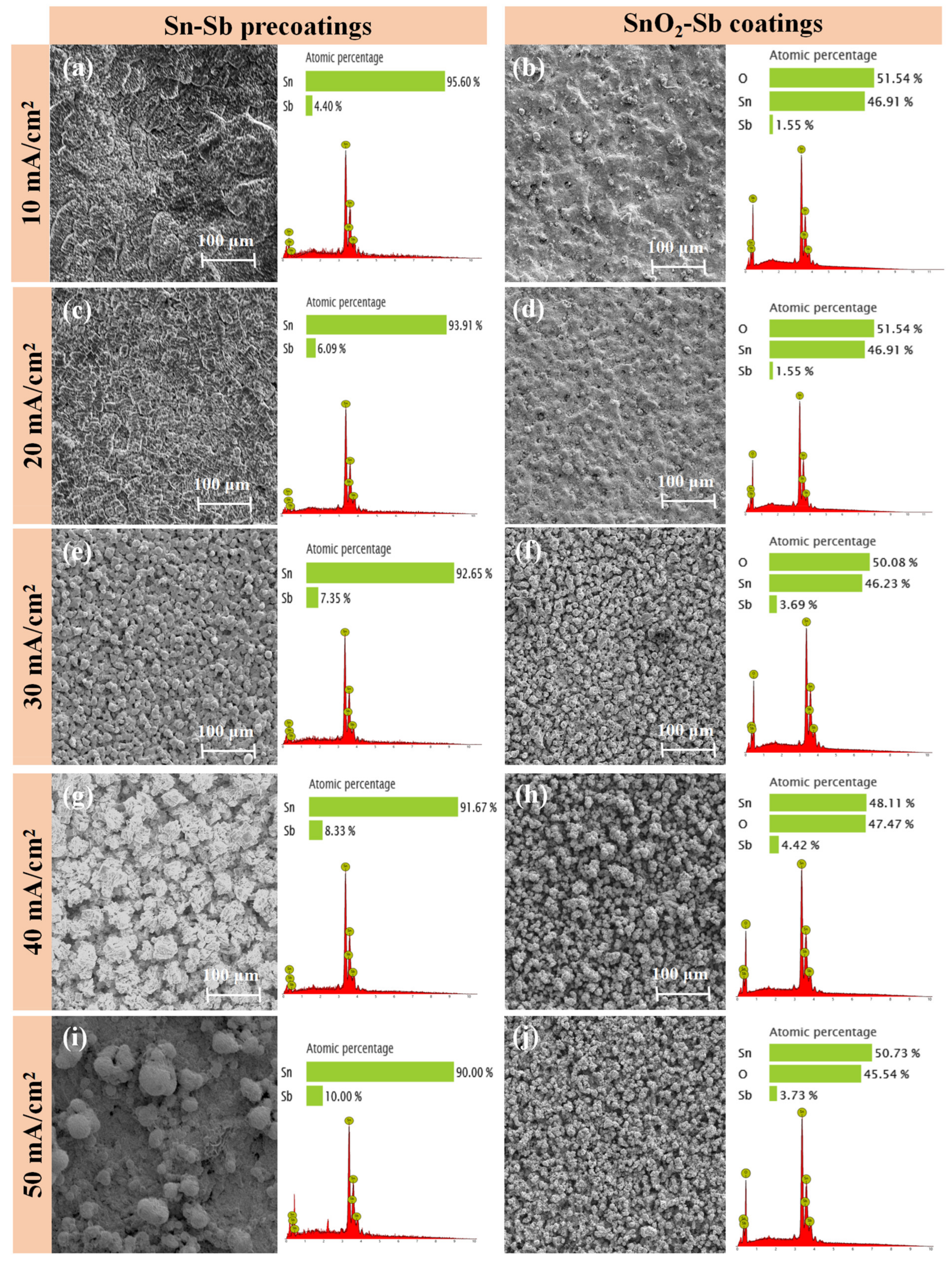 Coatings 13 00866 g001