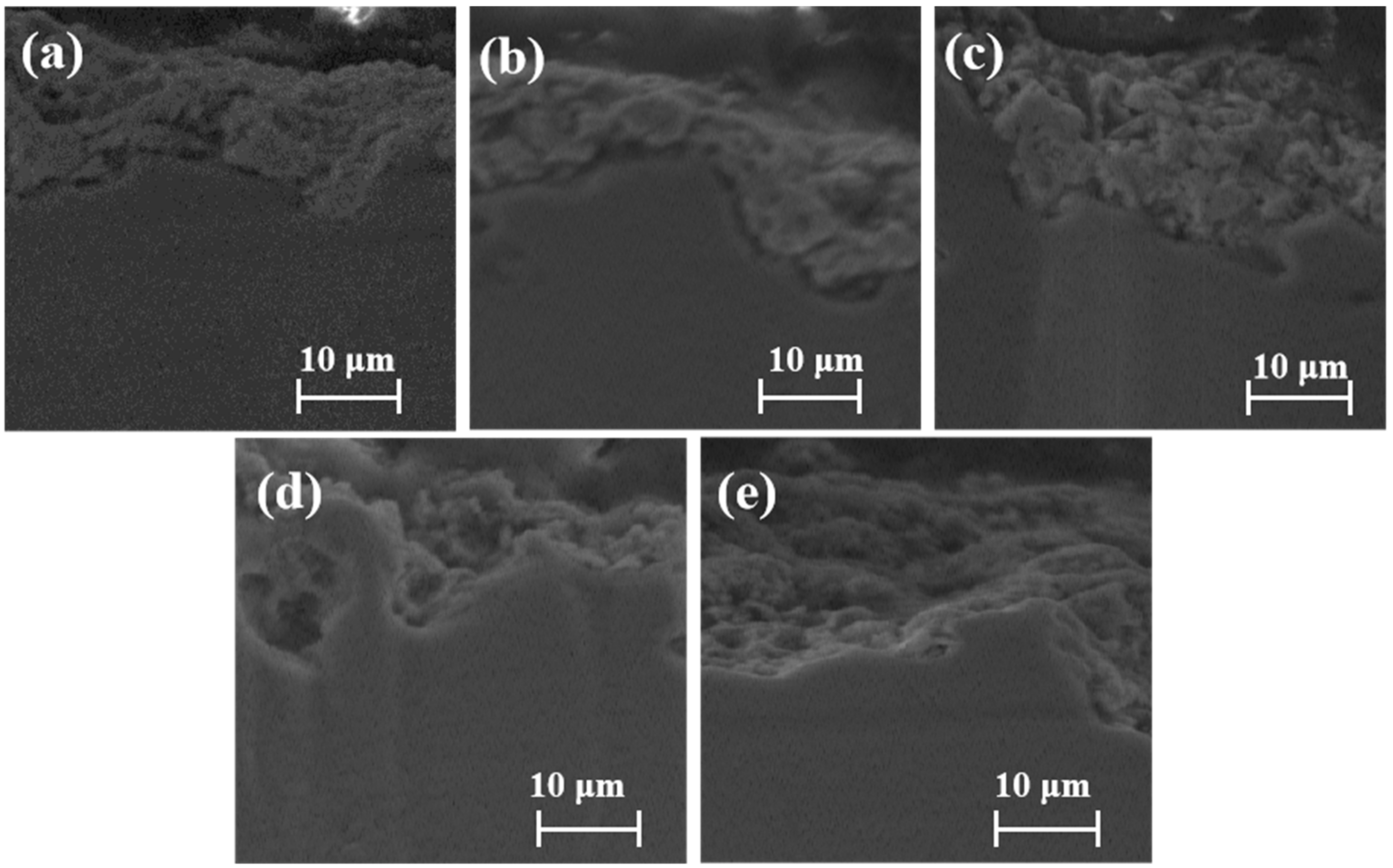 Coatings 13 00866 g003