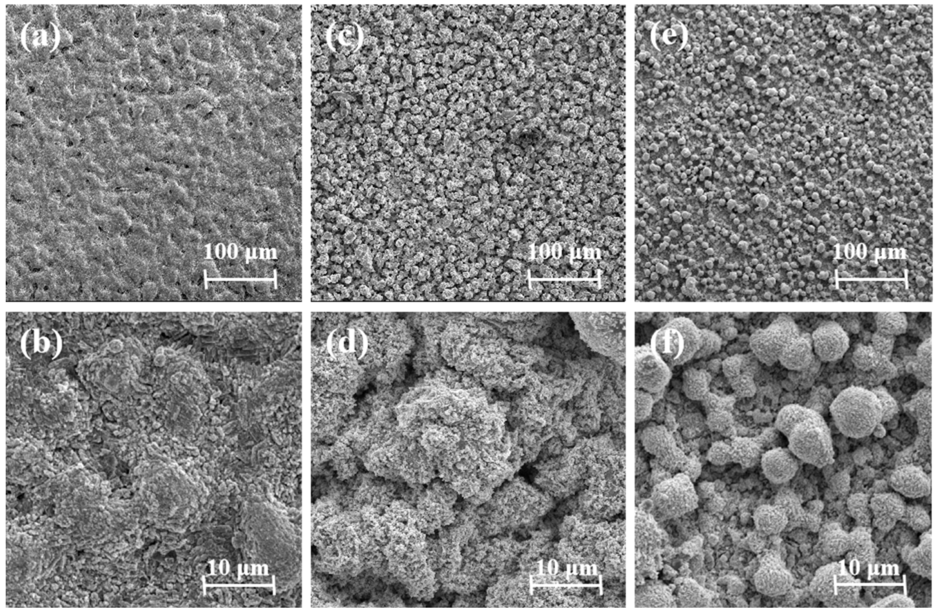 Coatings 13 00866 g005