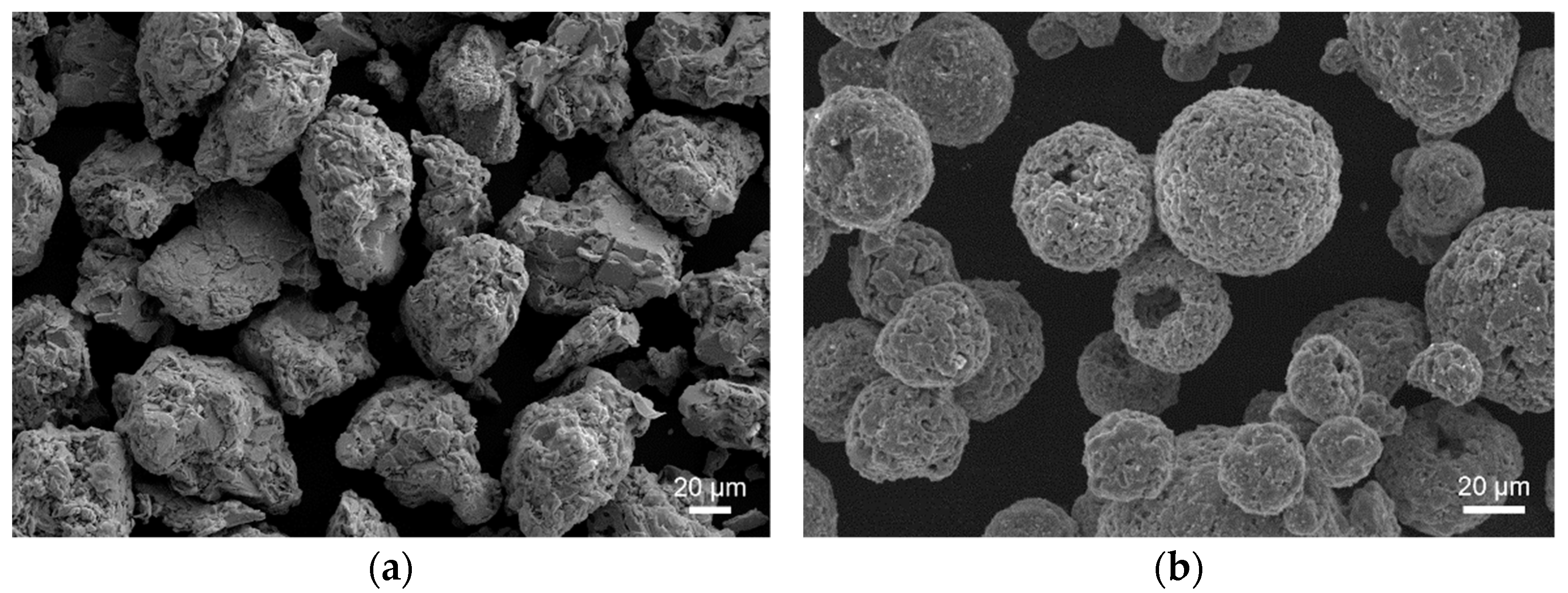 Coatings 13 00869 g003