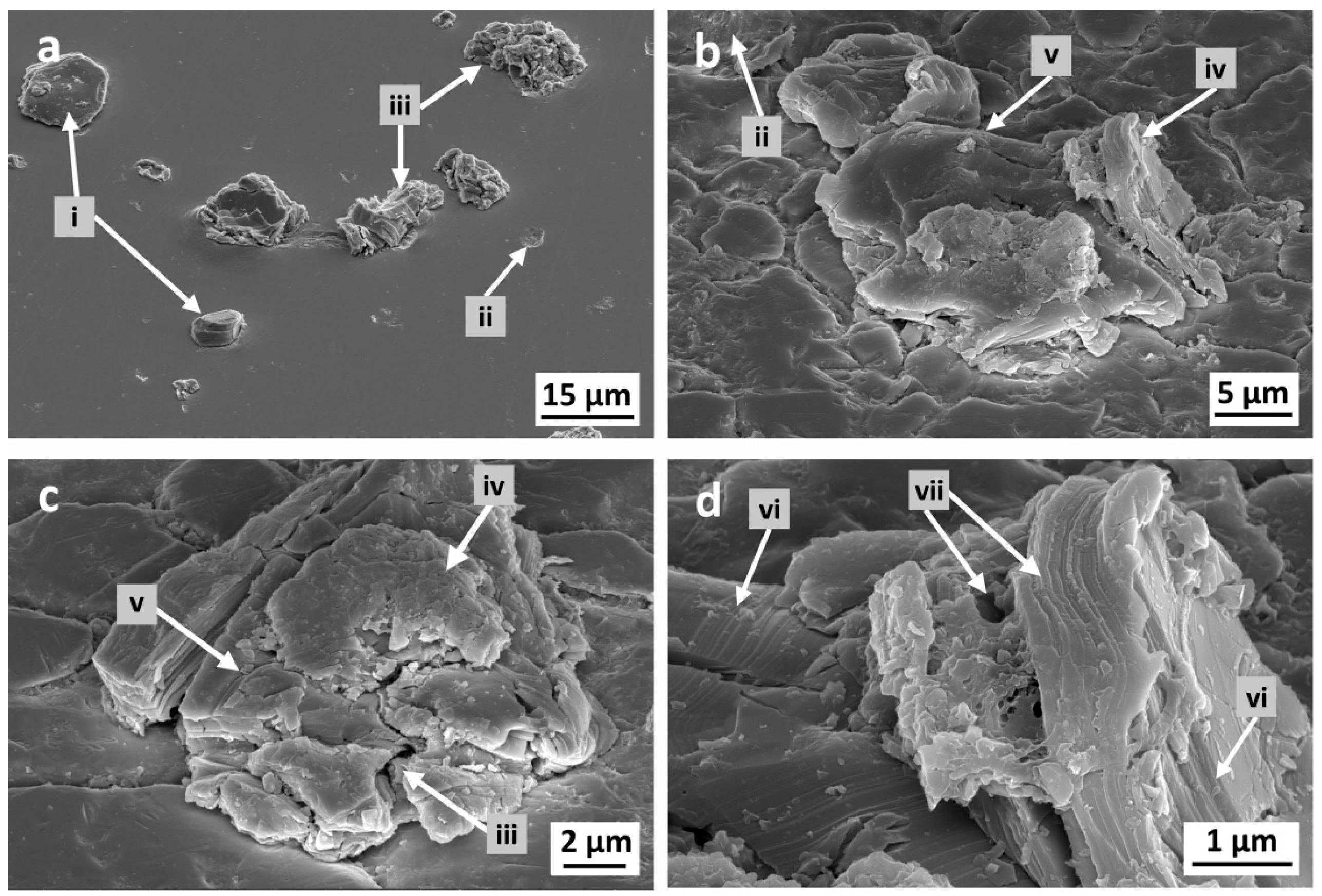 Coatings 13 00869 g005