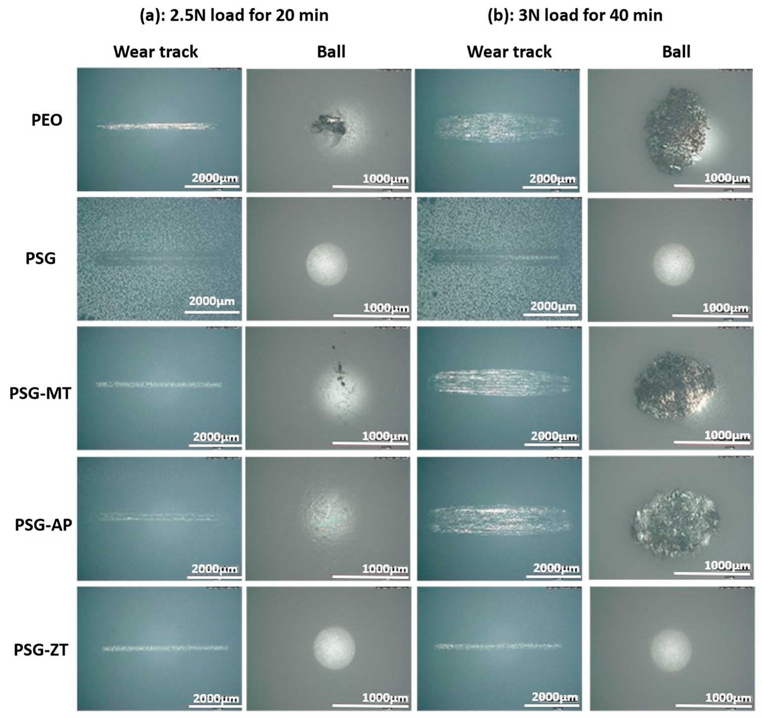 Coatings 13 00871 g009