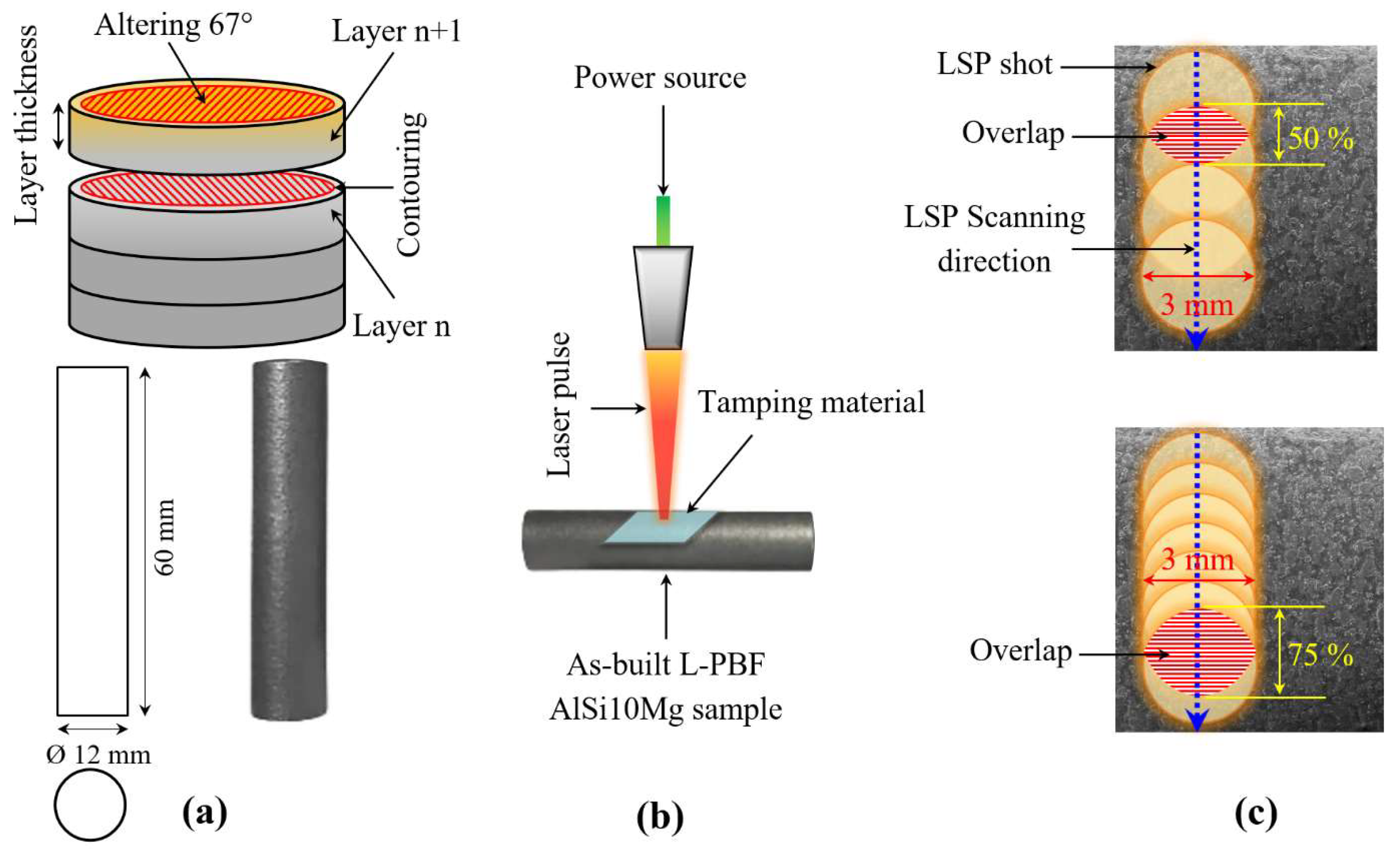 Coatings 13 00874 g001