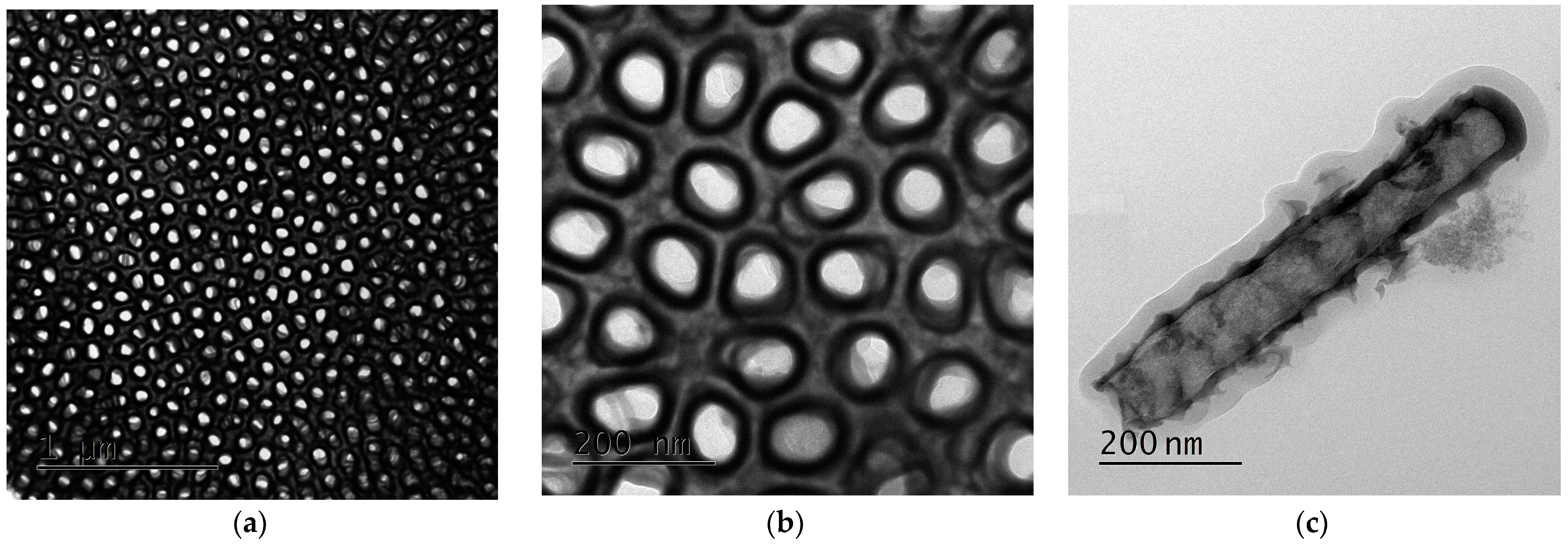 Coatings 13 00875 g002