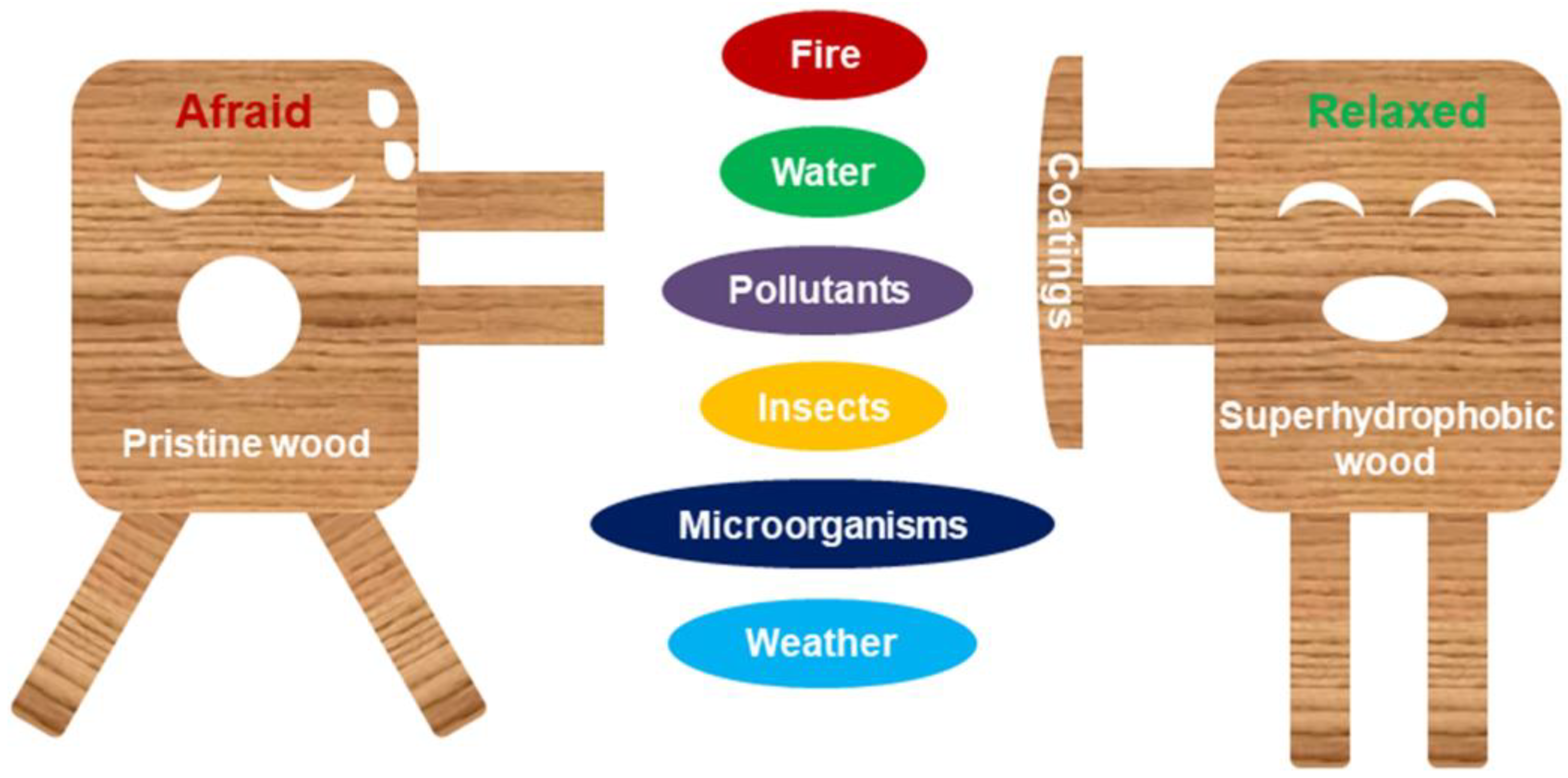 Coatings 13 00877 g001