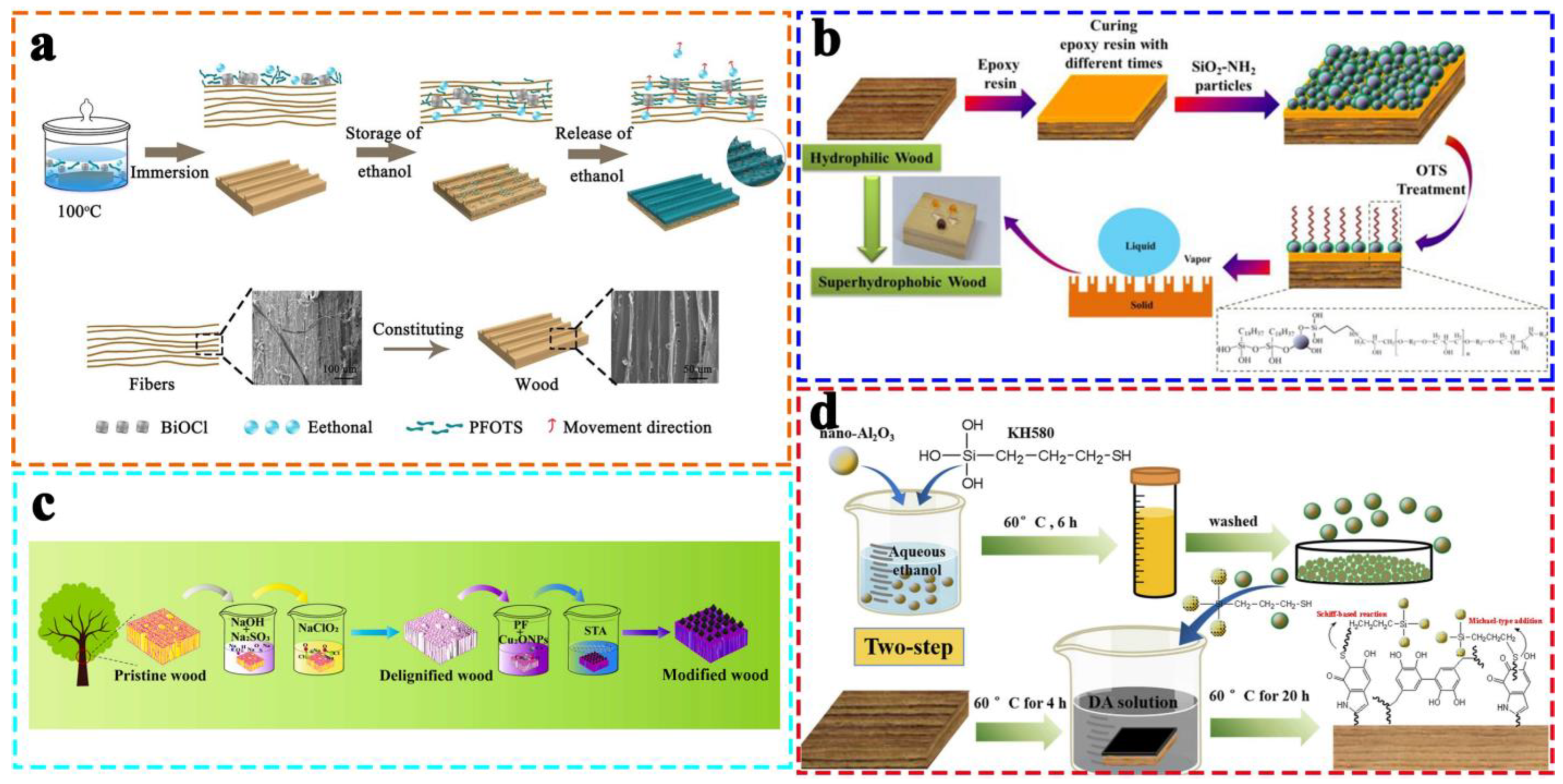 Coatings 13 00877 g002