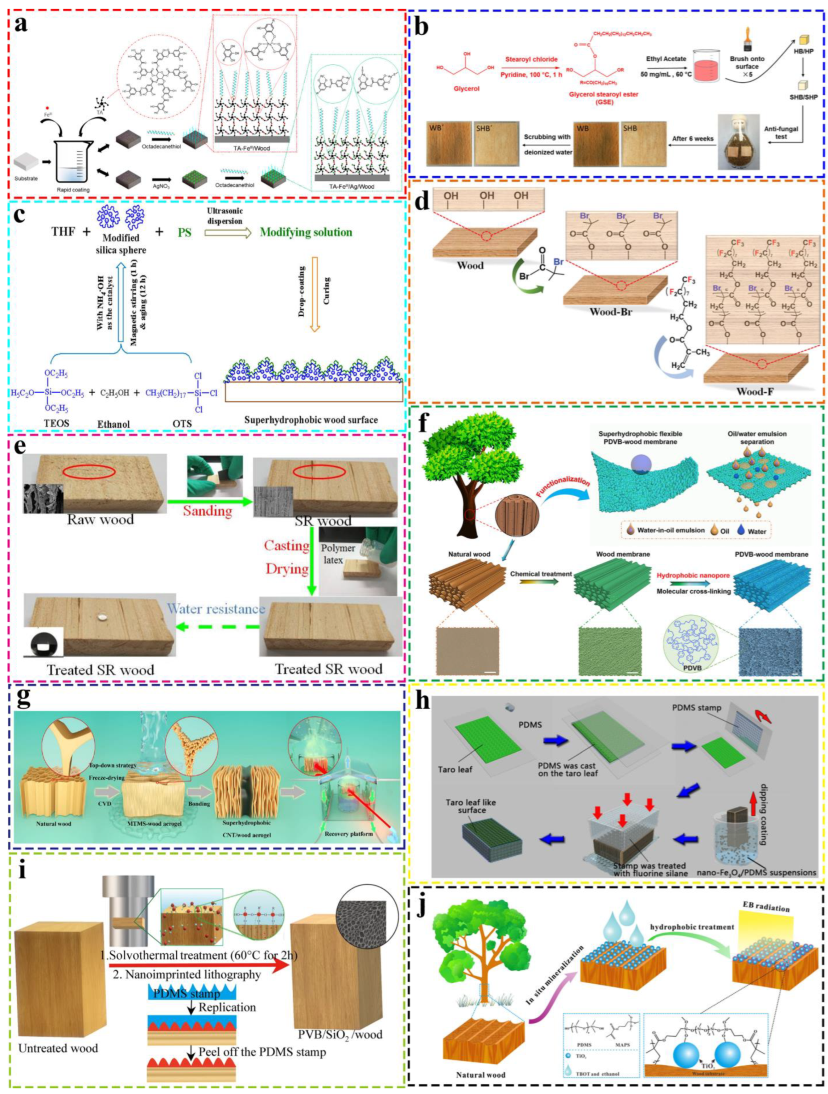 Coatings 13 00877 g008