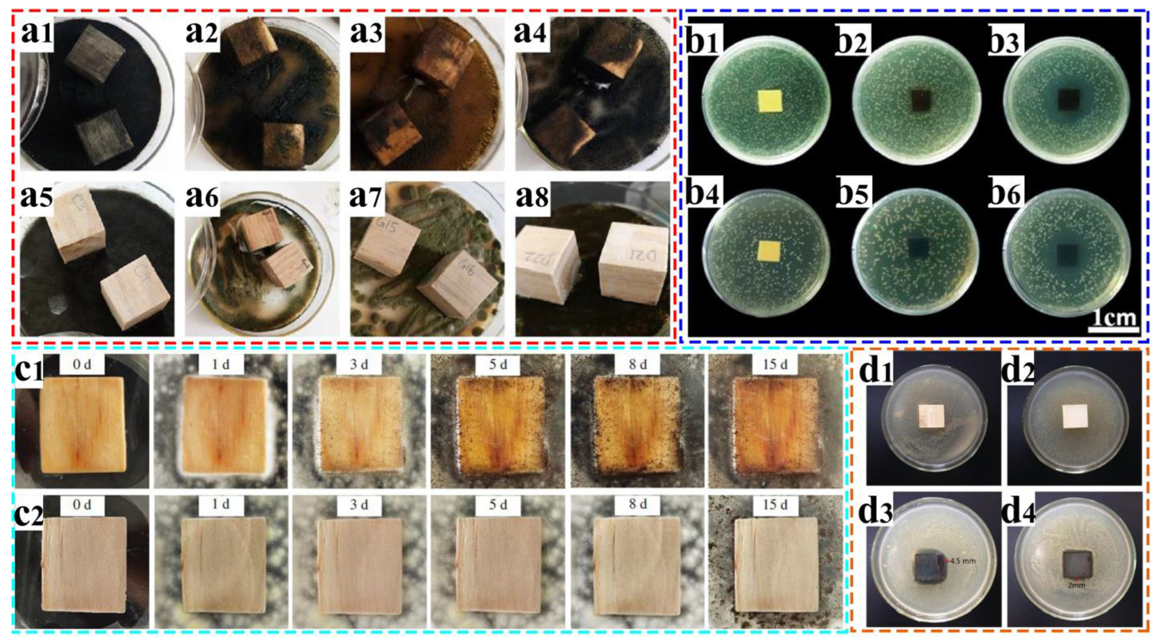 Coatings 13 00877 g009