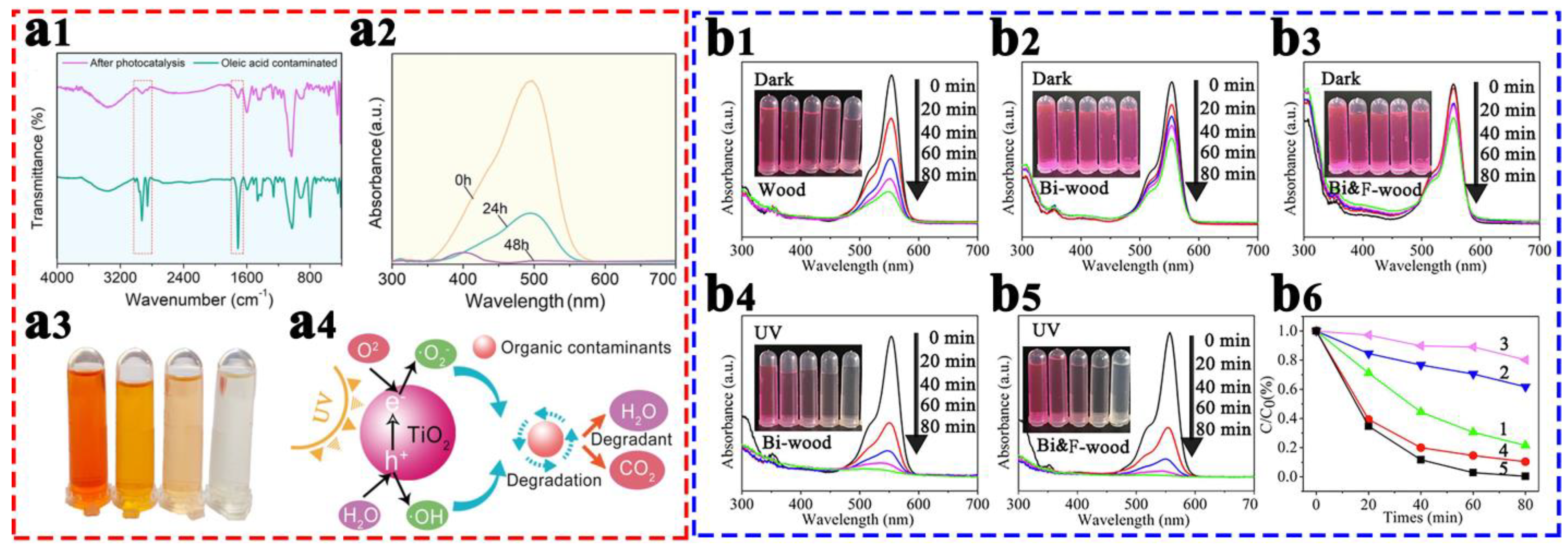 Coatings 13 00877 g014