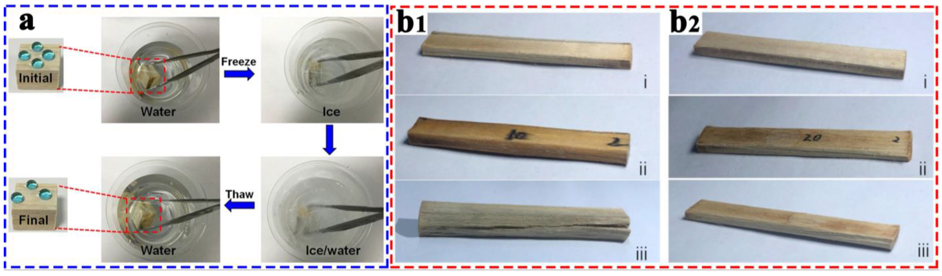 Coatings 13 00877 g015