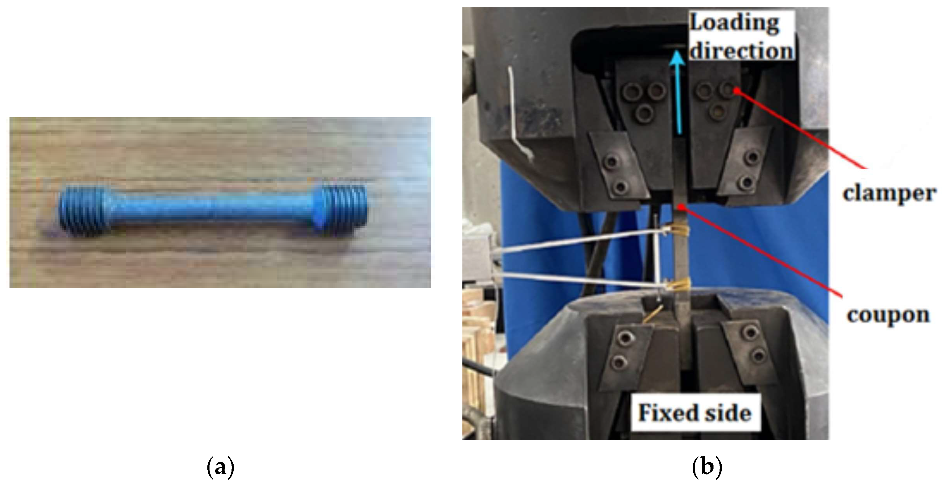 Coatings 13 00878 g002