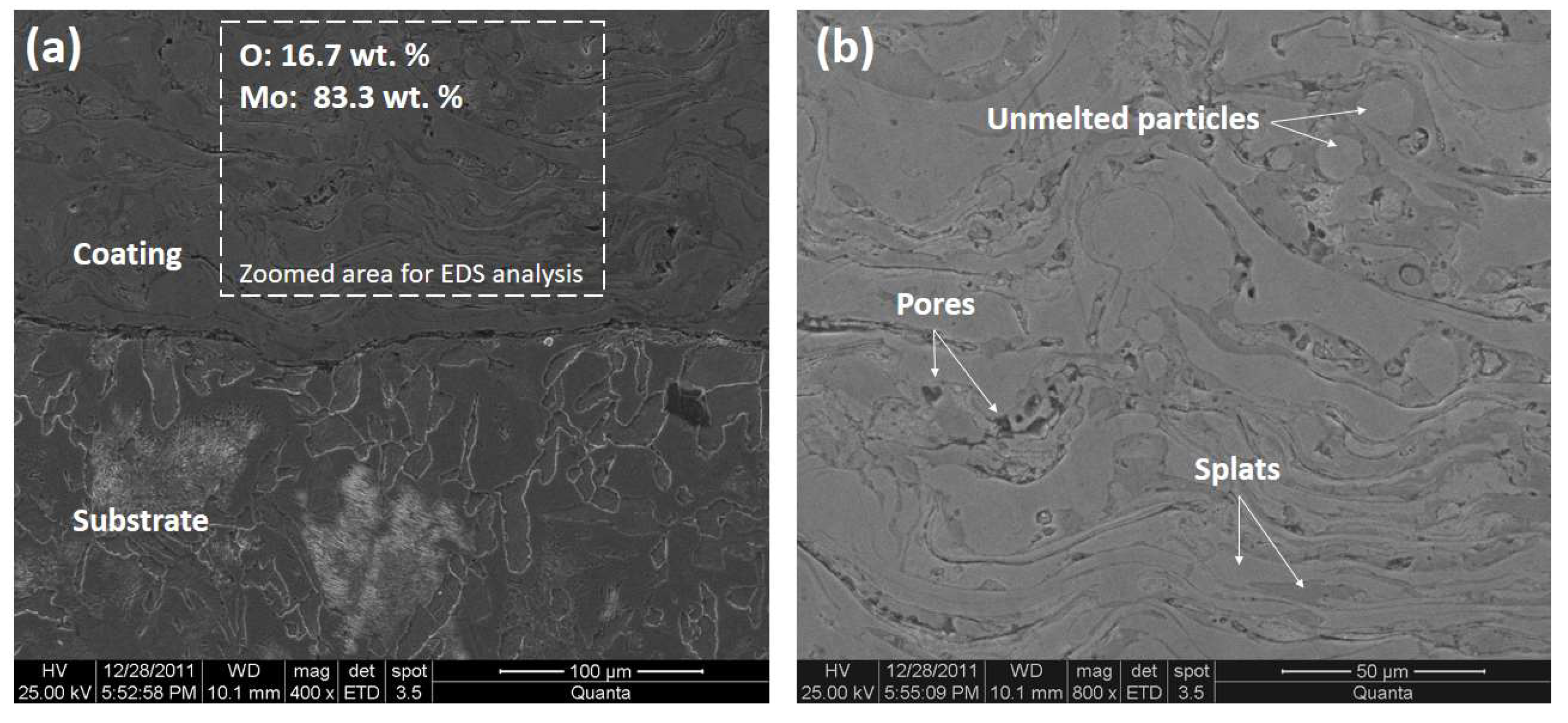 Coatings 13 00878 g004
