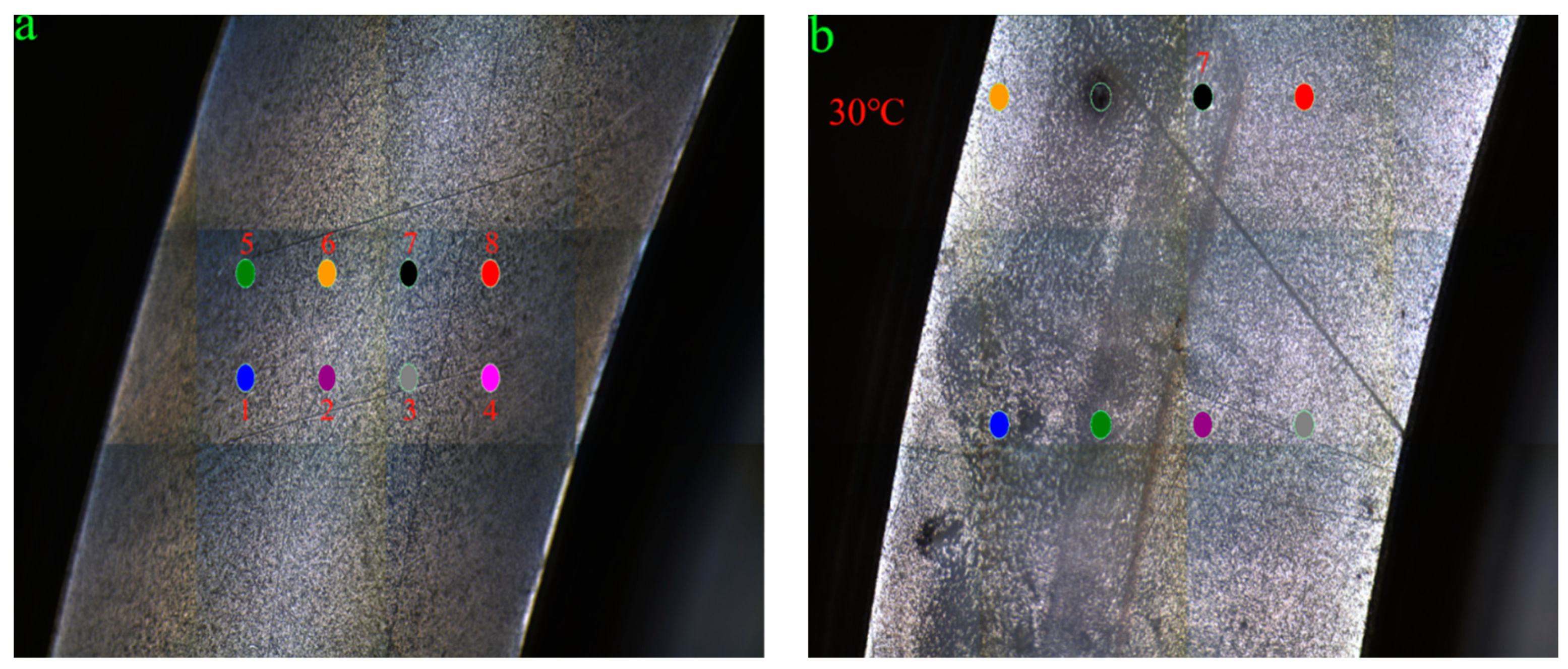 Coatings 13 00881 g008a