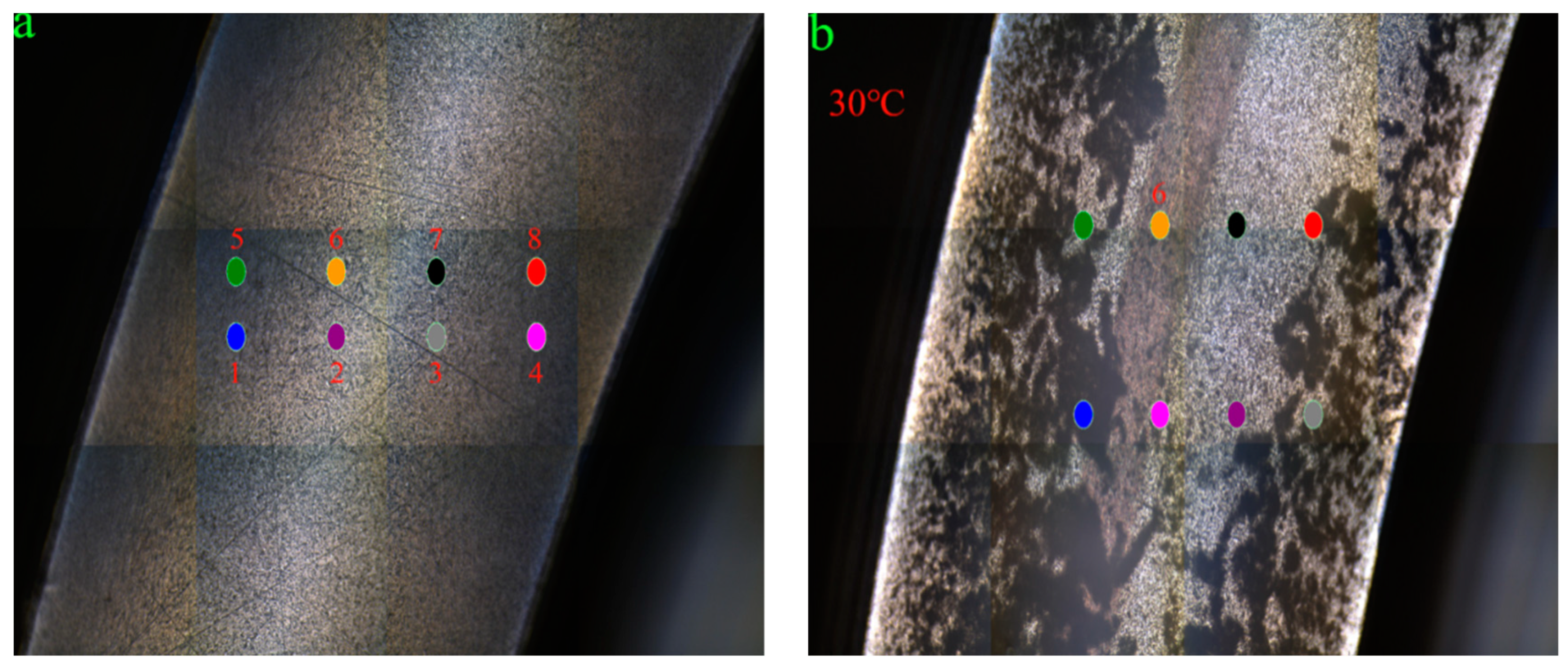 Coatings 13 00881 g009a