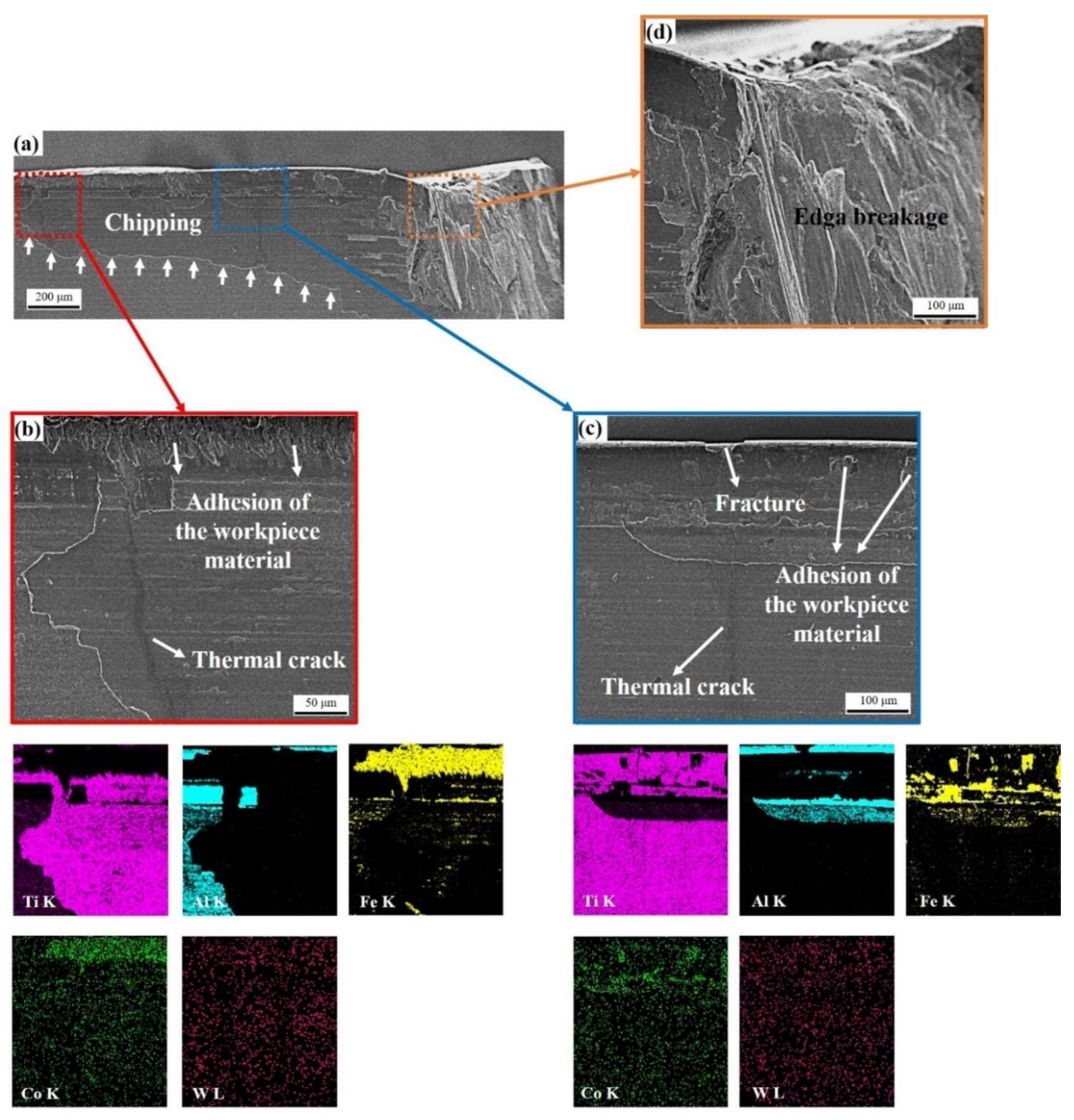 Coatings 13 00883 g012