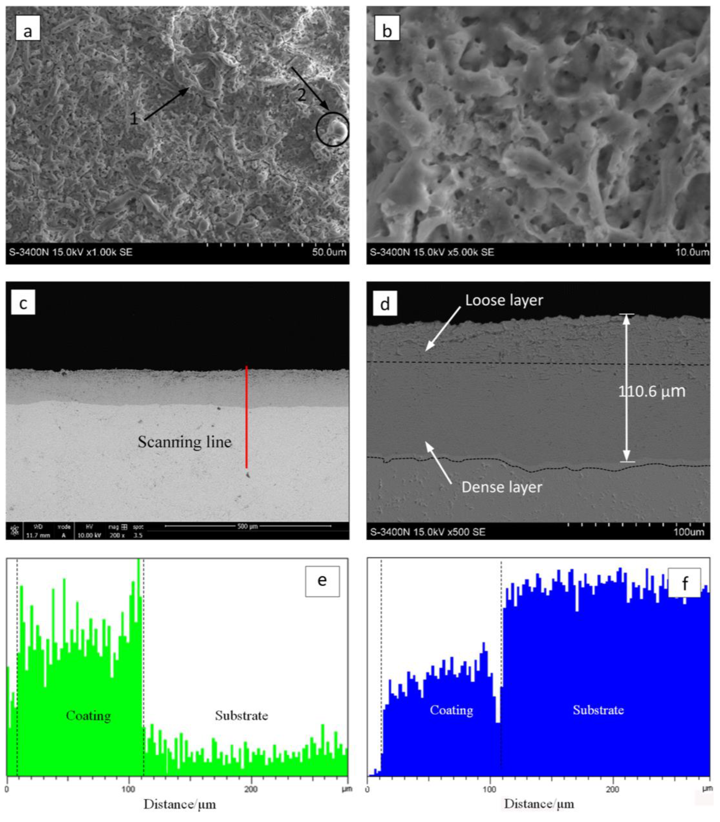 Coatings 13 00884 g004