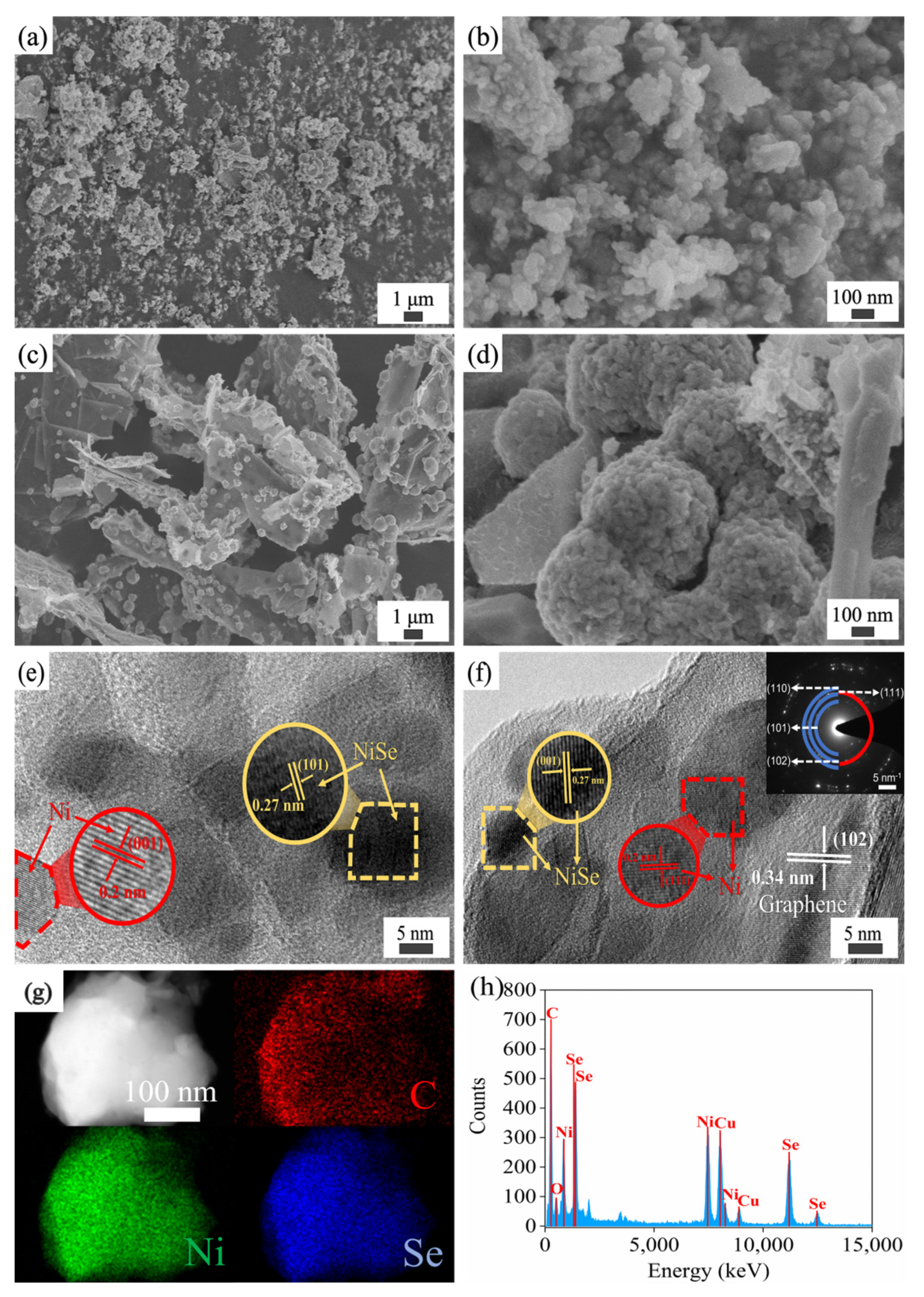 Coatings 13 00885 g002