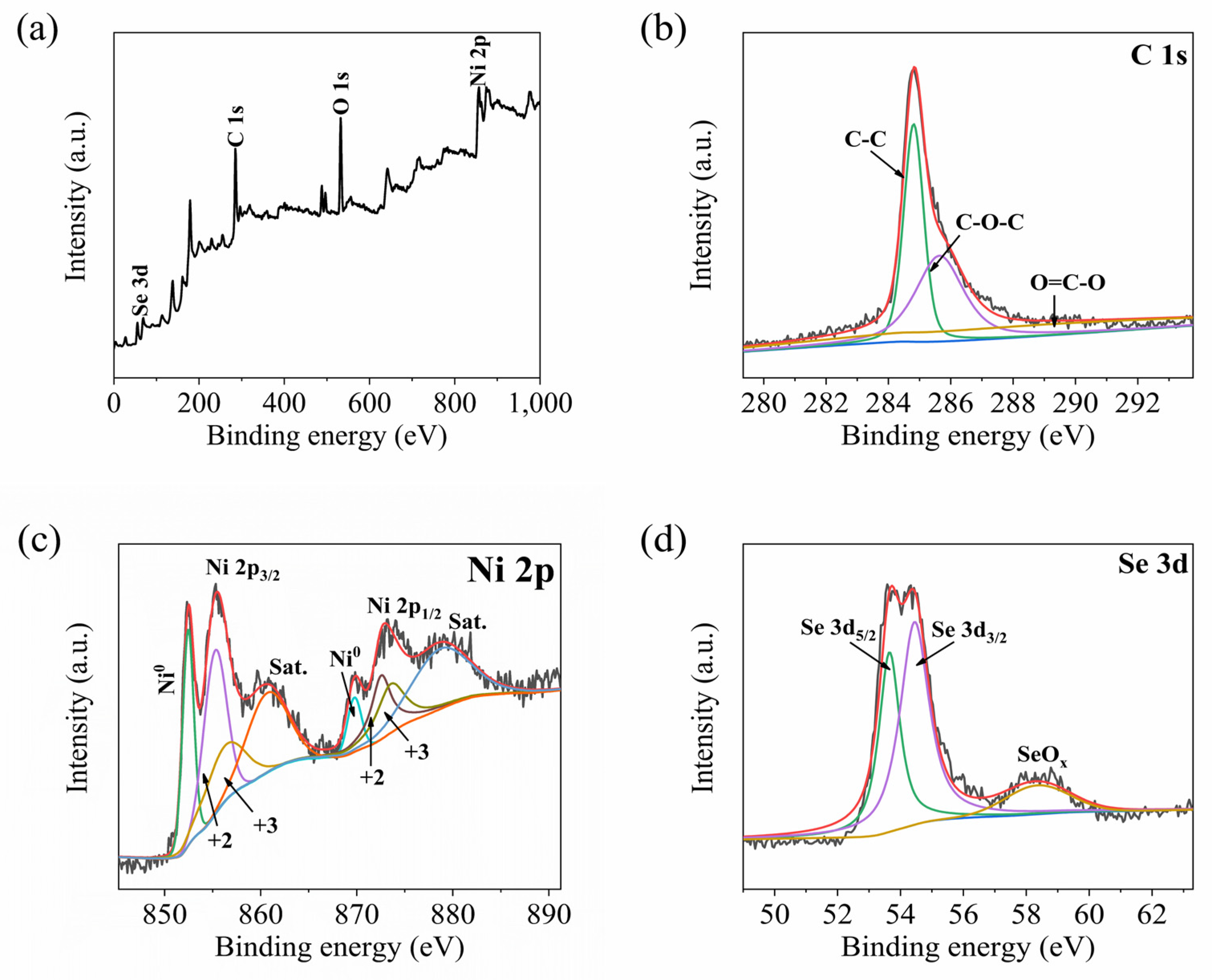 Coatings 13 00885 g004