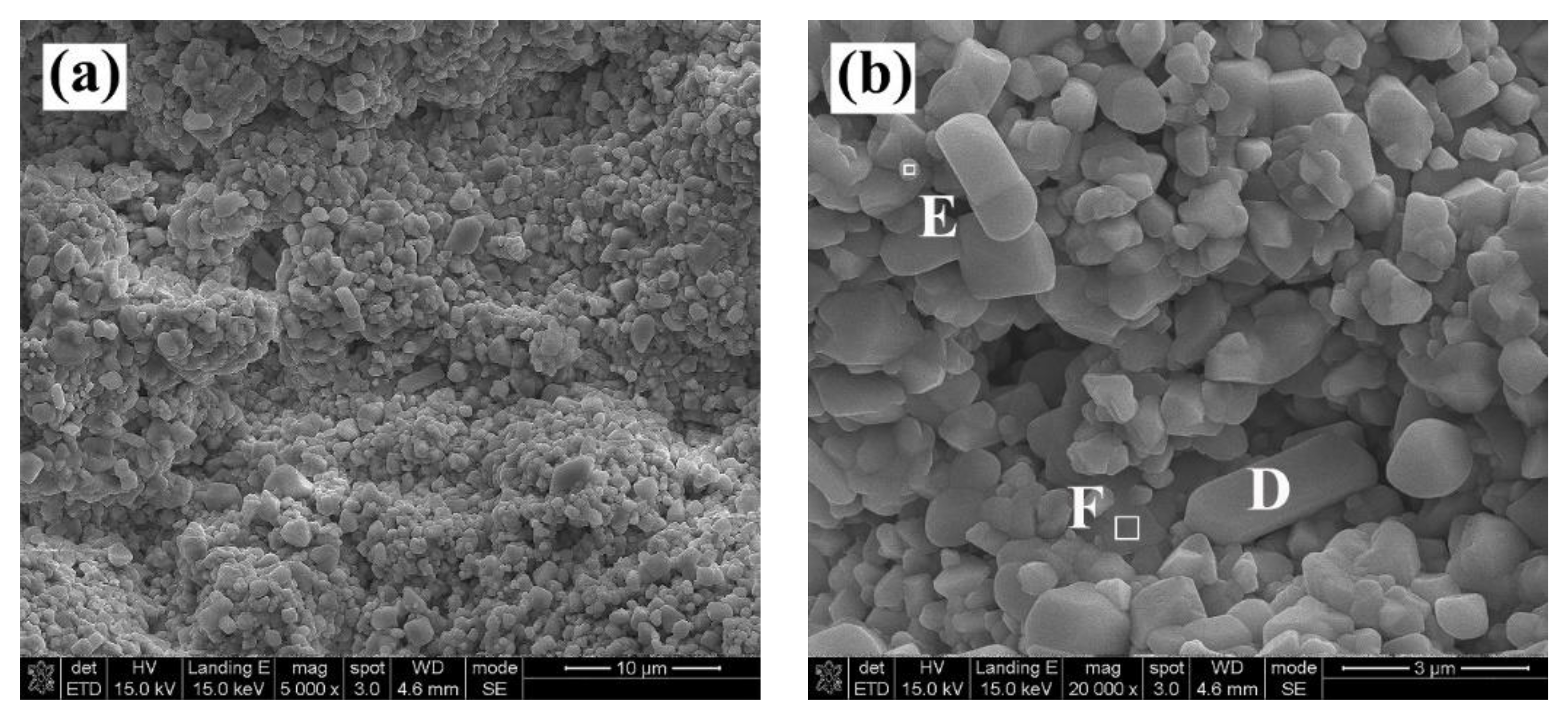Coatings 13 00886 g005
