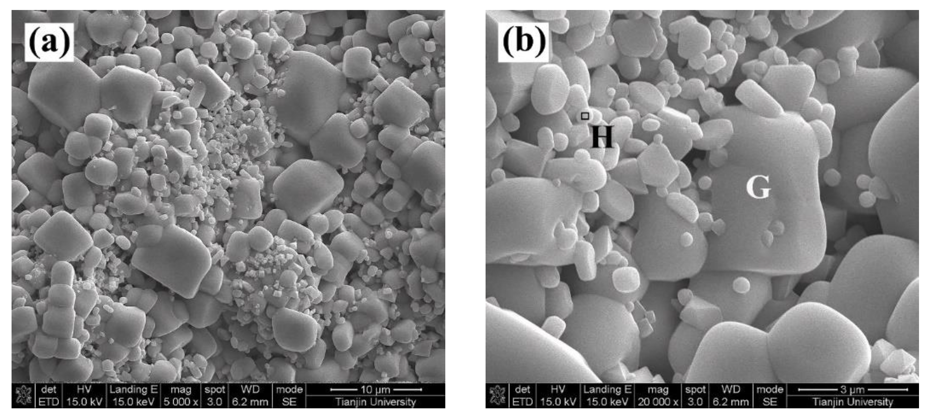 Coatings 13 00886 g006