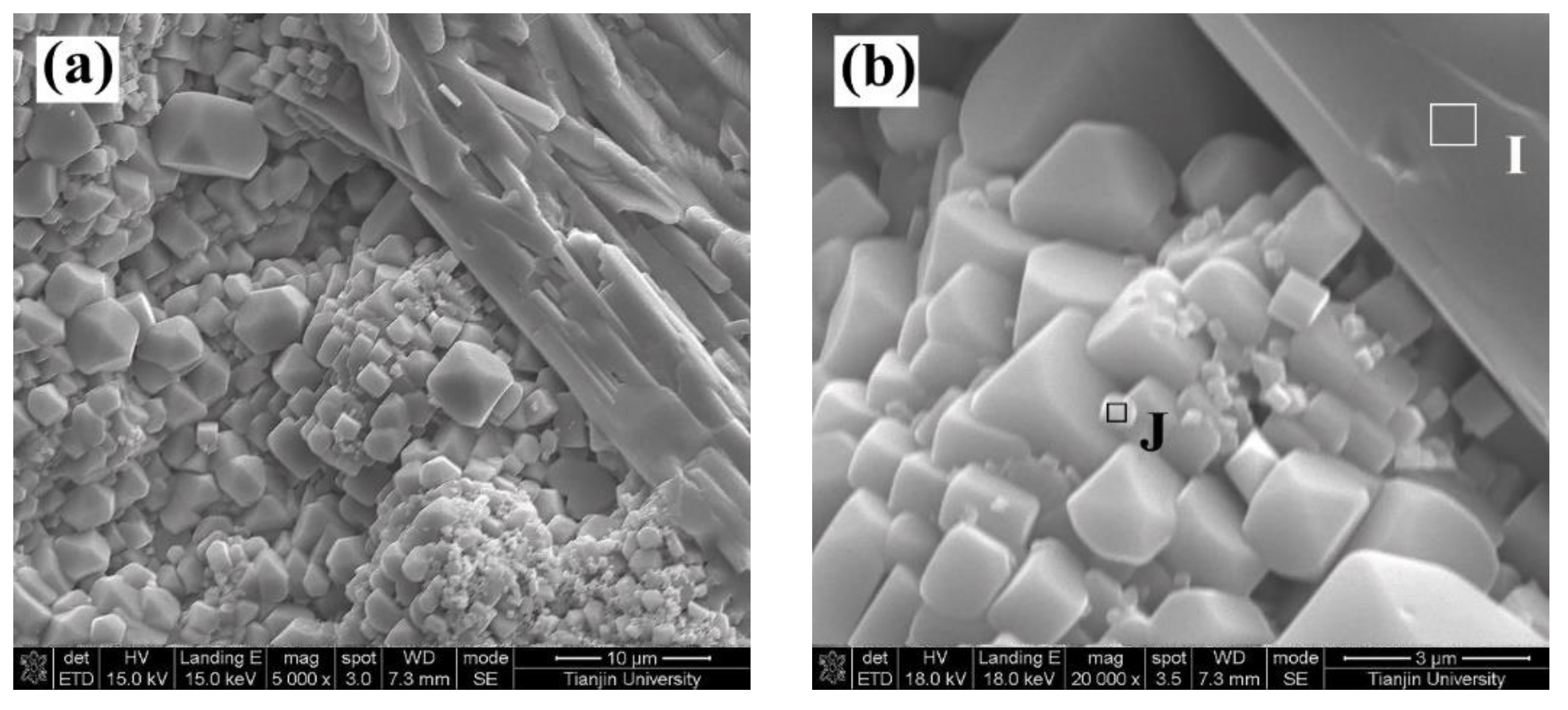 Coatings 13 00886 g007